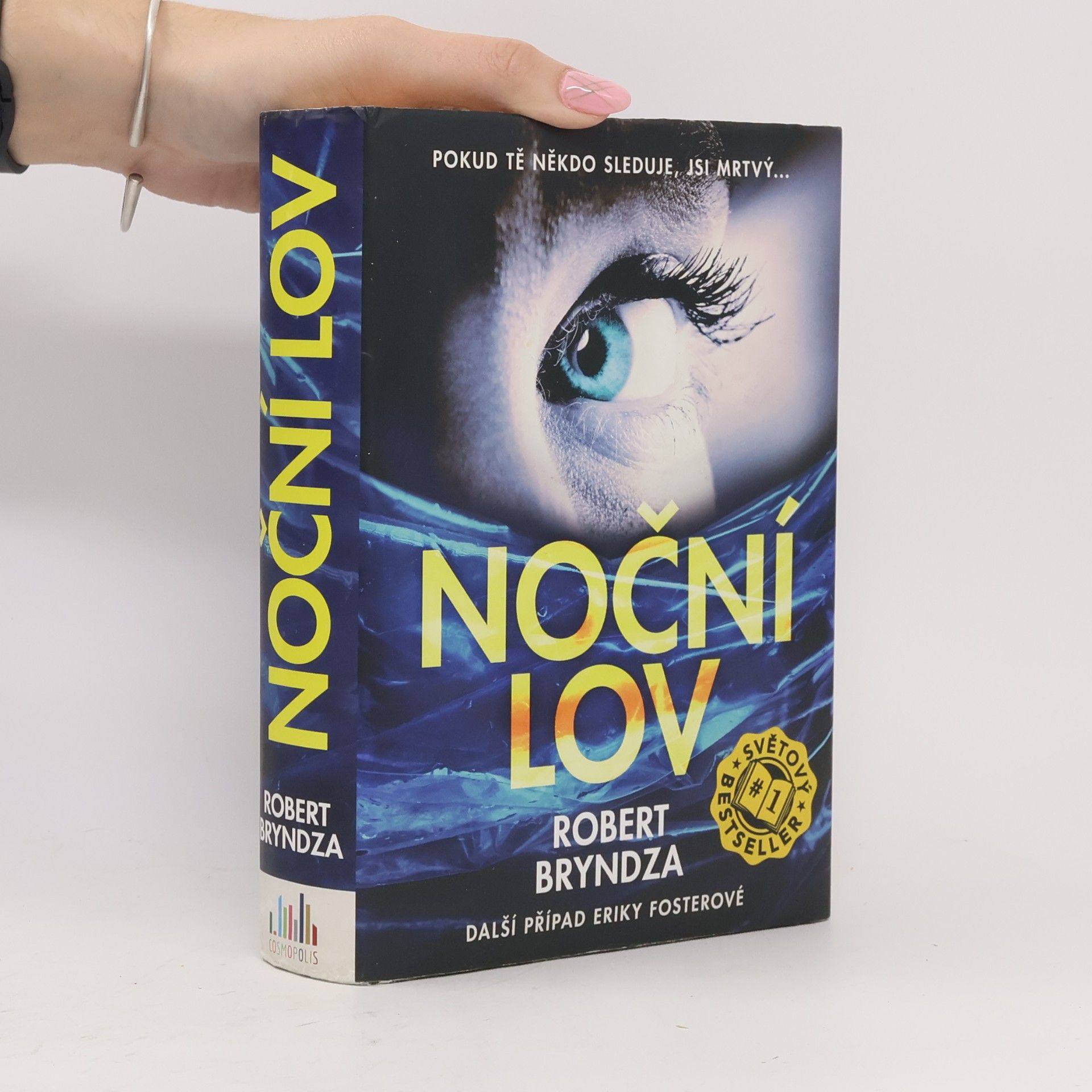 Robert Bryndza Noční lov