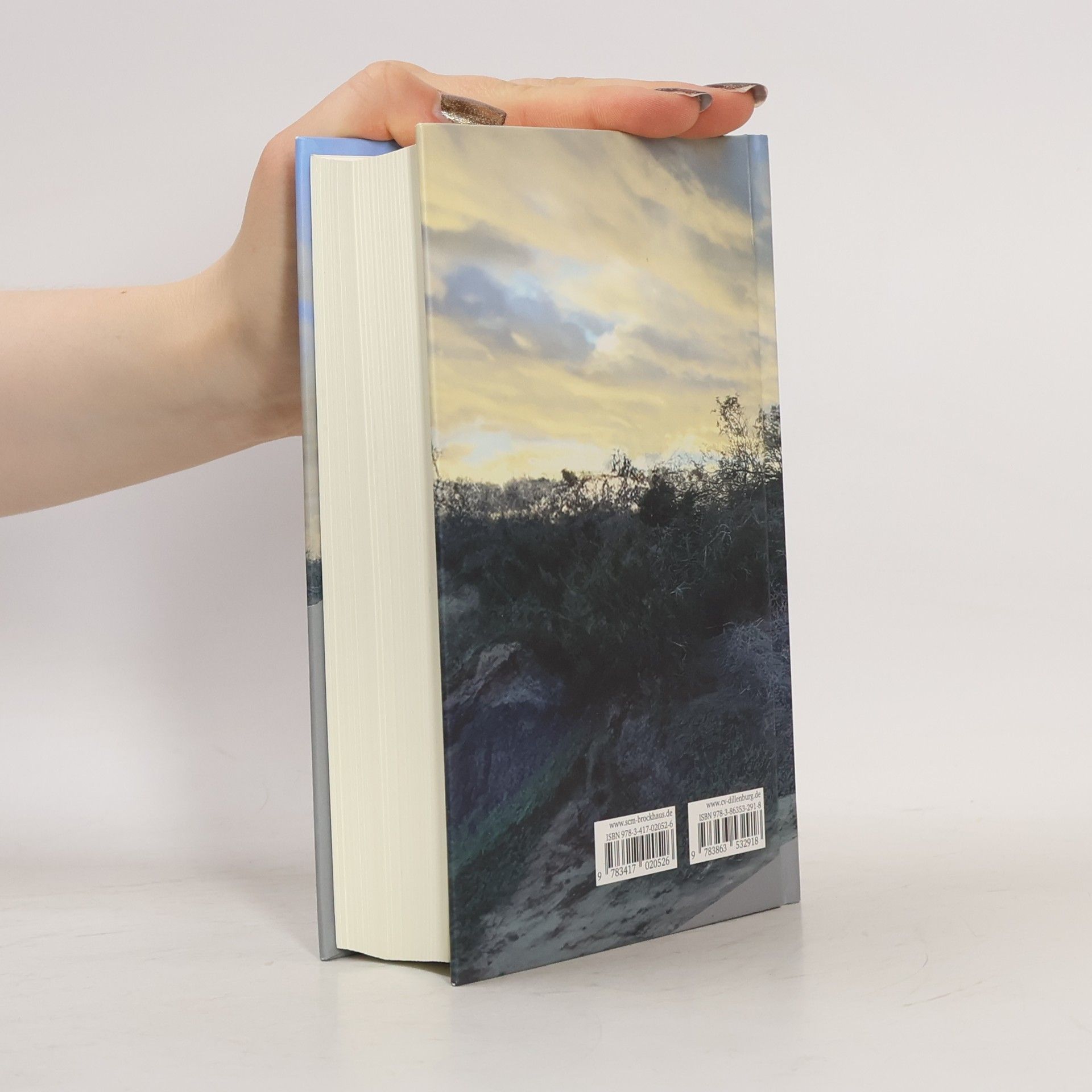 Autorenkollektiv Elberfelder Bibel