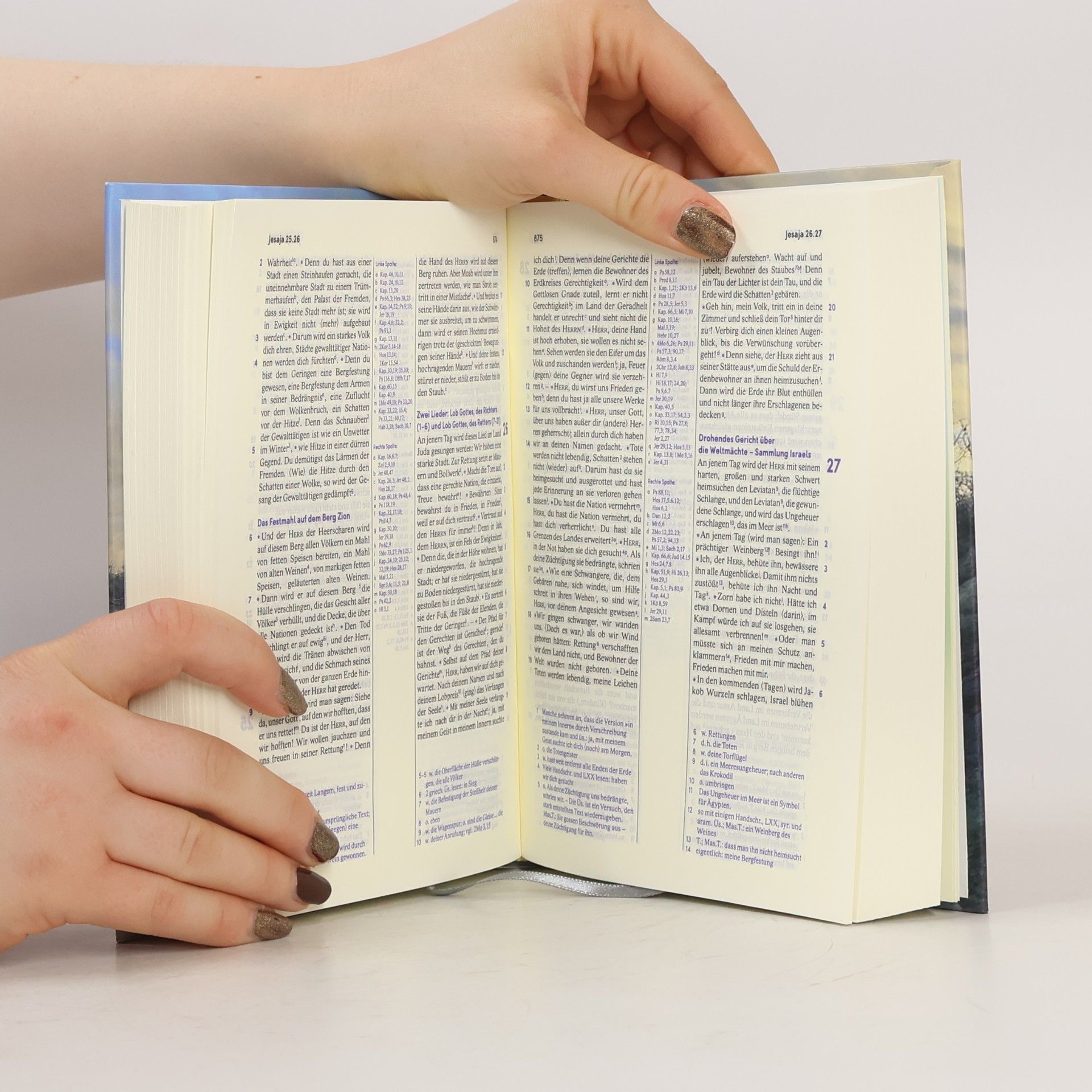 Autorenkollektiv Elberfelder Bibel
