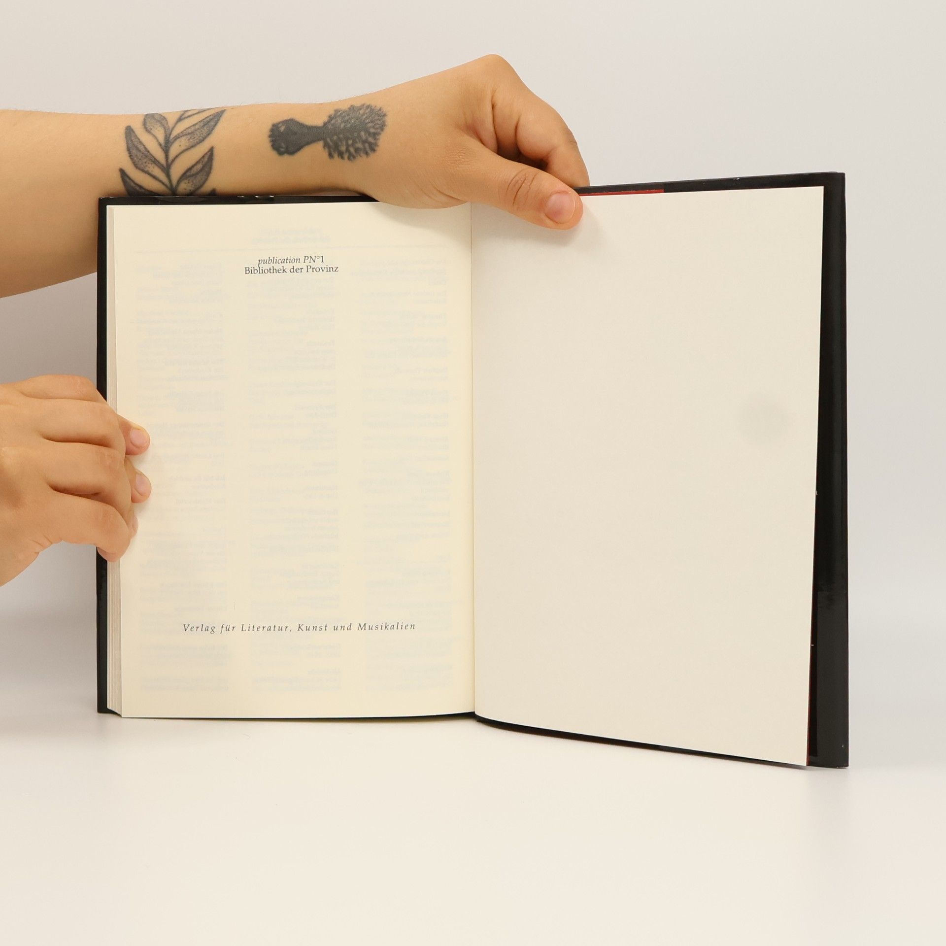 John Patrick Montague Das verlorene Notizbuch
