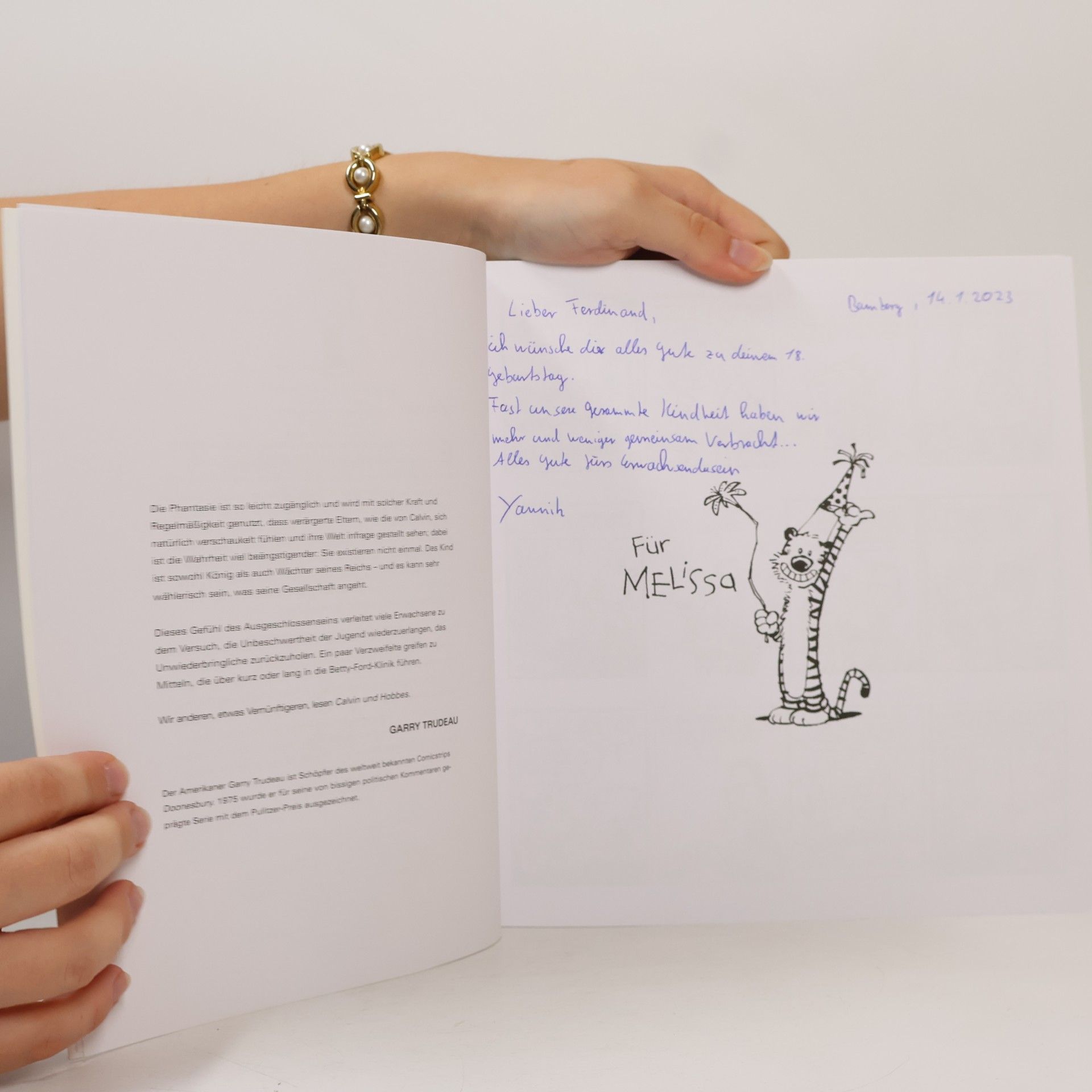 Bill Watterson Calvin und Hobbes 1