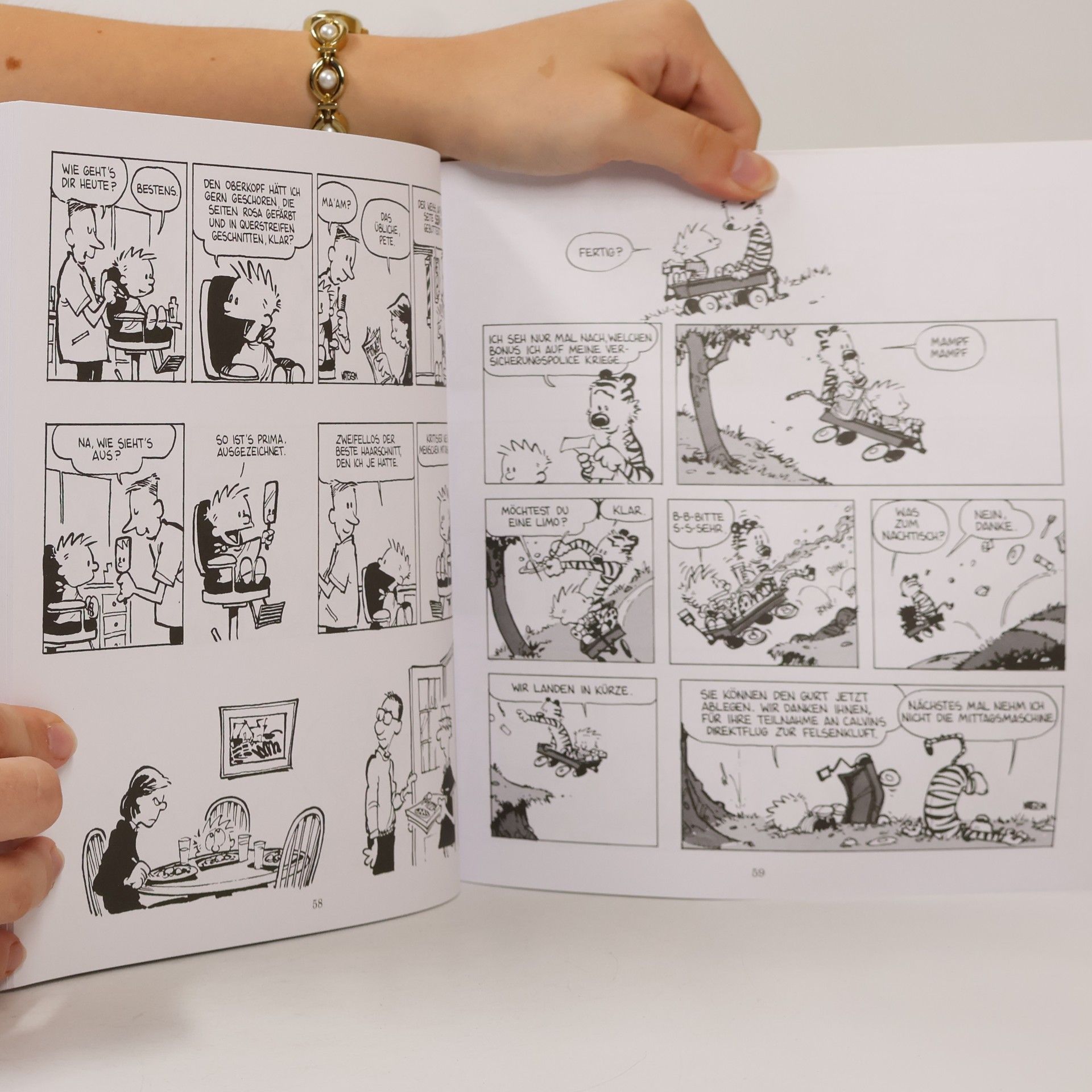 Bill Watterson Calvin und Hobbes 1