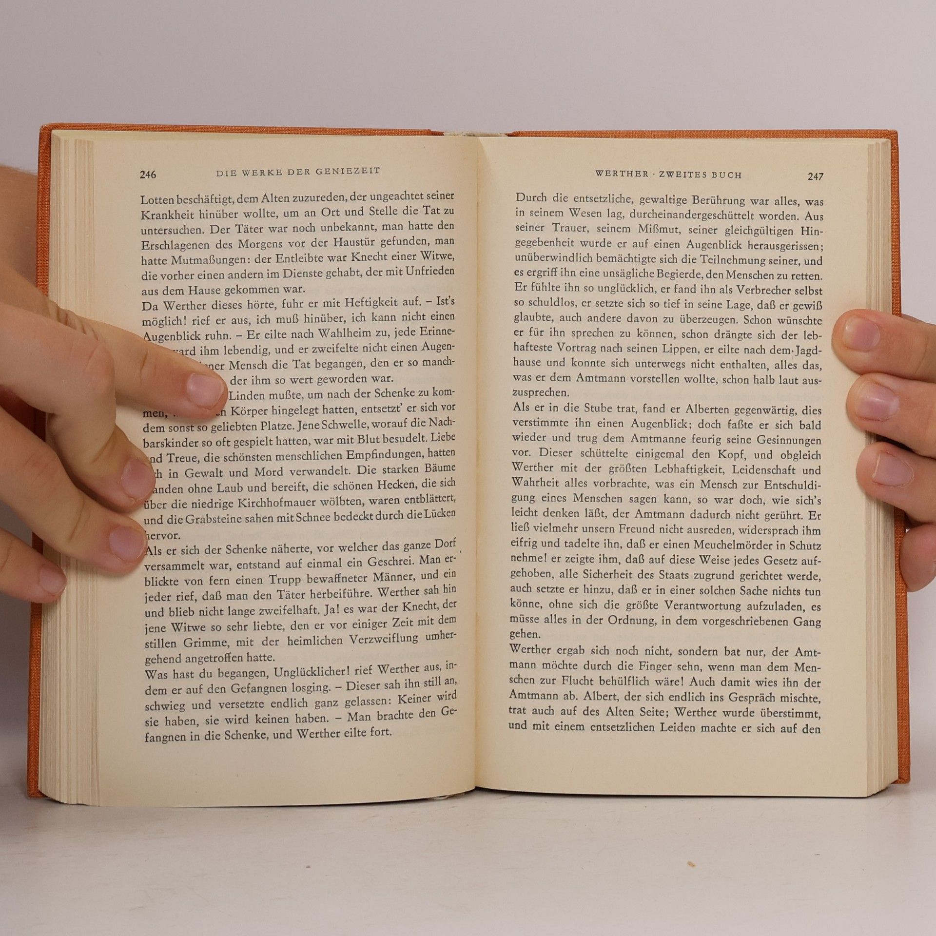 Johann Wolfgang von Goethe Goethes Werke 3