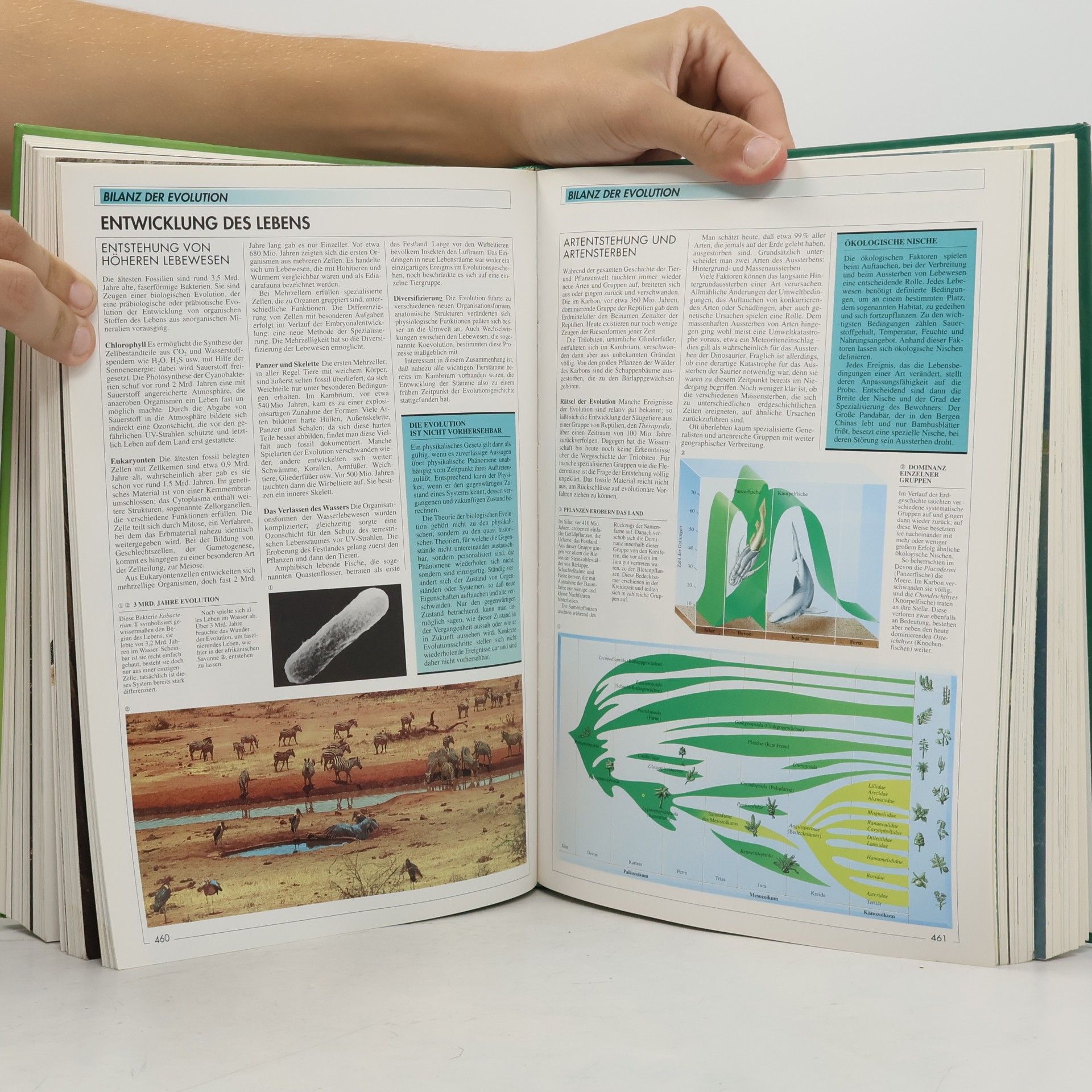 Kolektiv autorů Die grosse Larousse-Natur-Enzyklopädie