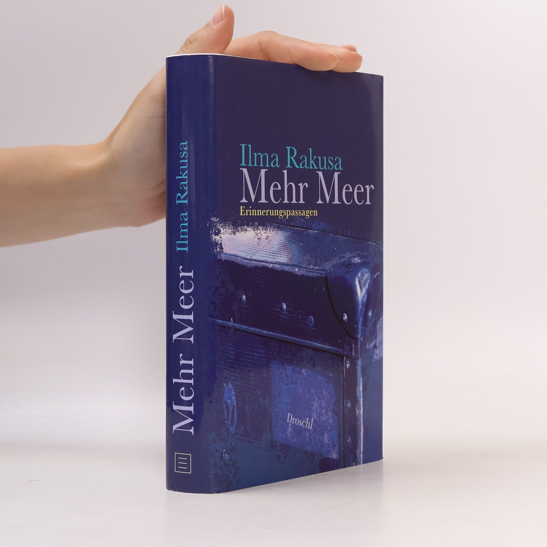 Ilma Rakusa Mehr Meer