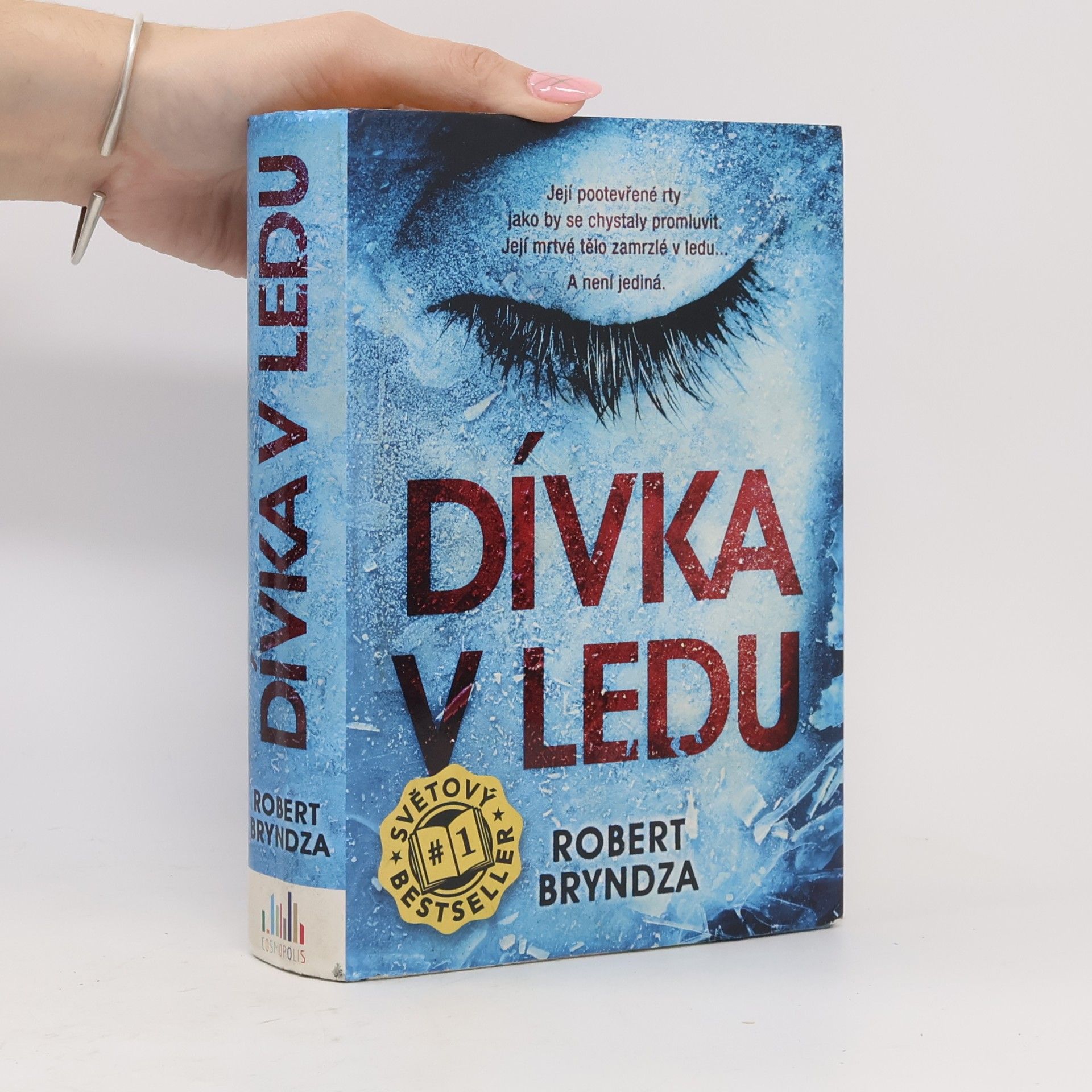 Robert Bryndza Dívka v ledu