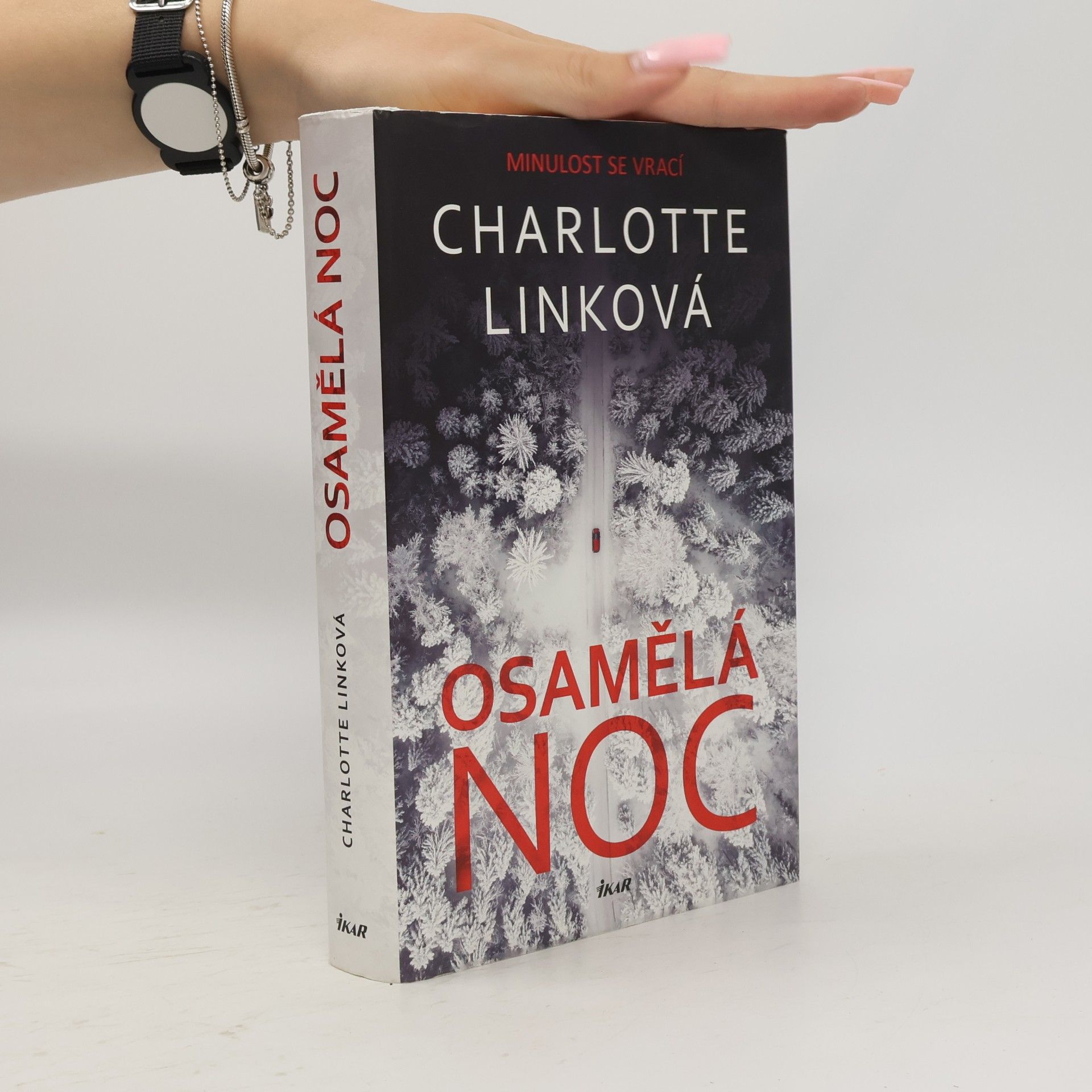 Charlotte Link Osamělá noc
