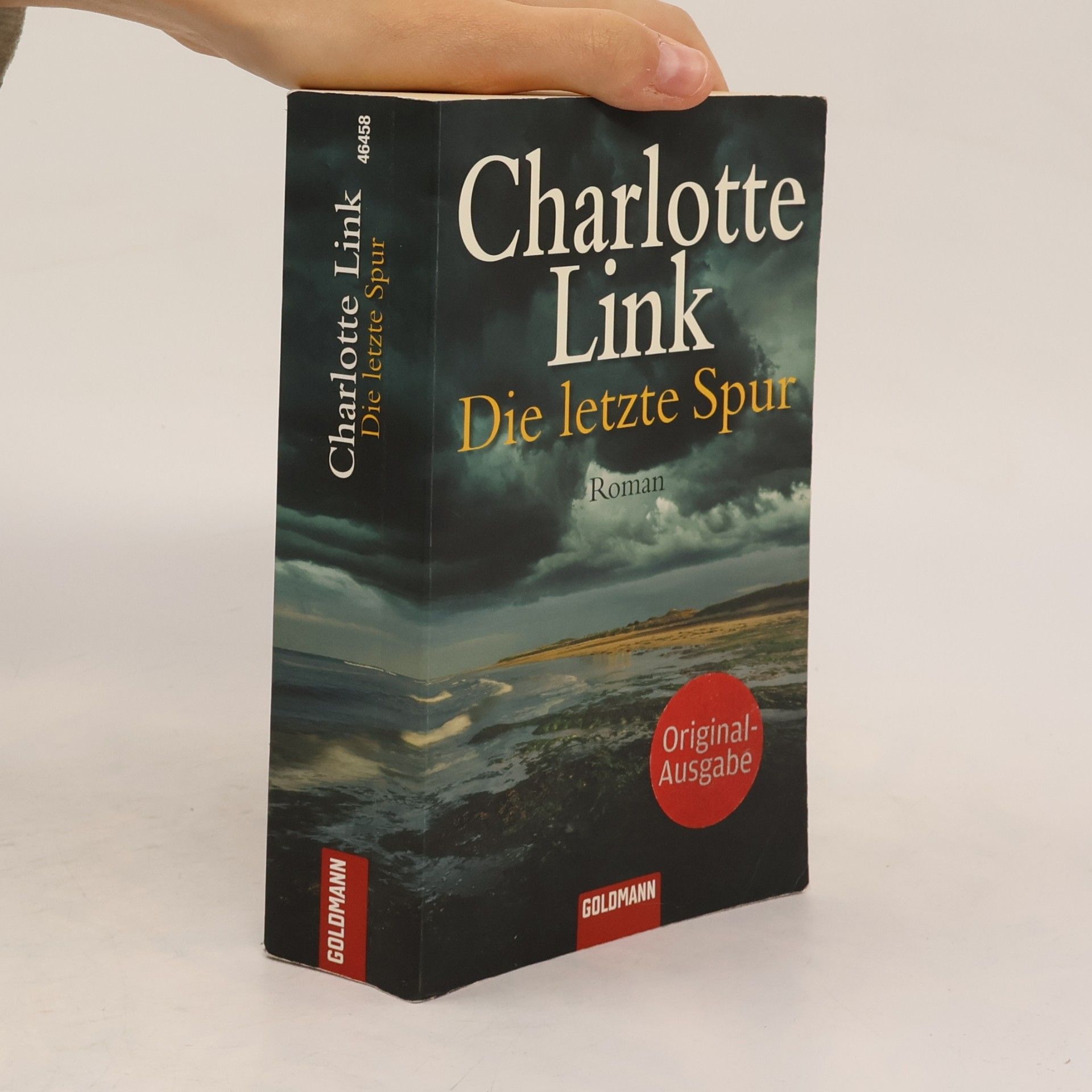 Charlotte Link Die letzte Spur