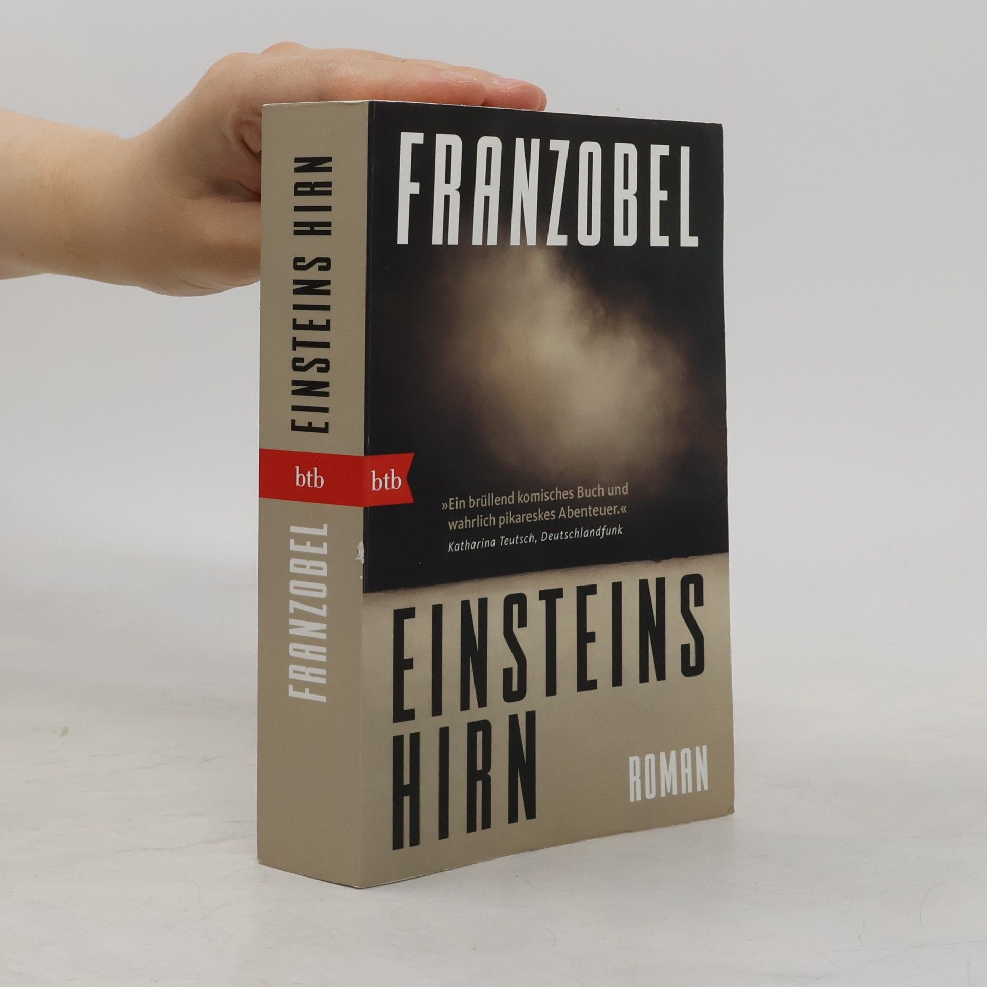 Franzobel Einsteins Hirn