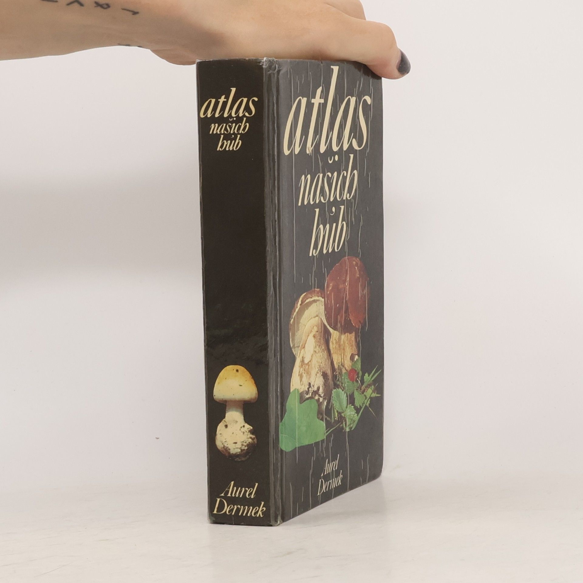 Aurel Dermek Atlas našich húb
