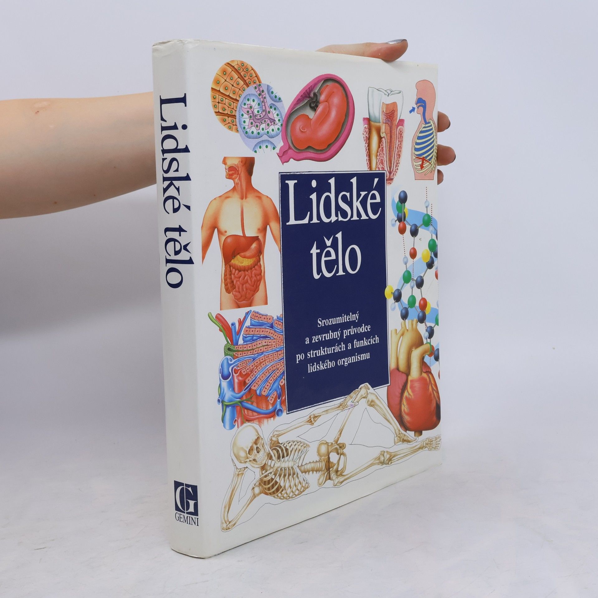 Autorenkollektiv Lidské tělo : Srozumitelný a zevrubný průvodce po strukturách a funkcích lidského organismu
