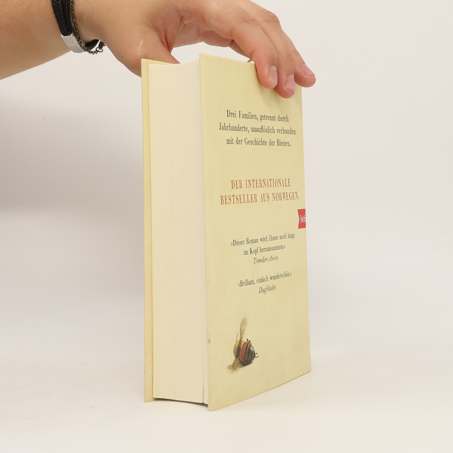 Maja Lunde Die Geschichte der Bienen