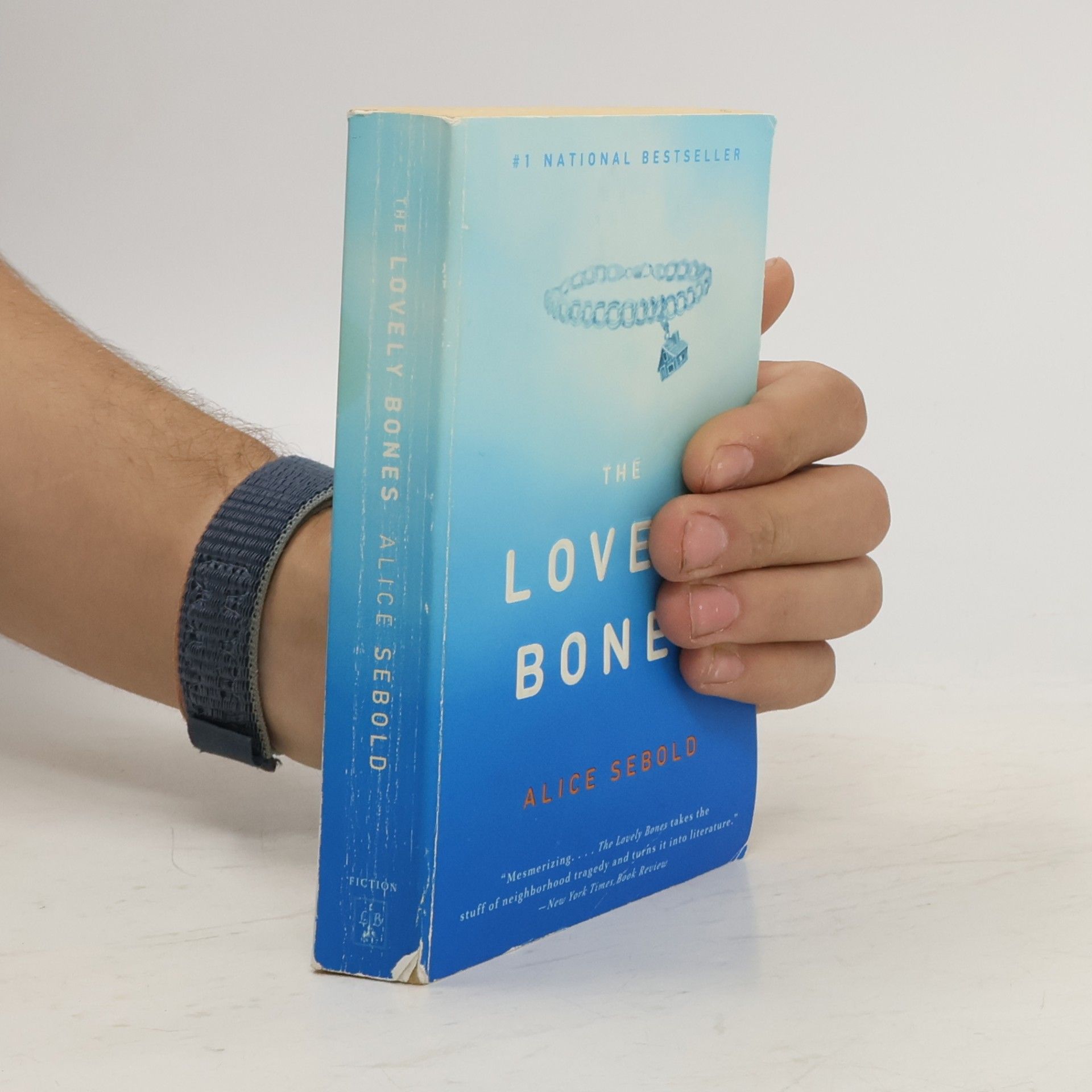 Alice Sebold The lovely bones
