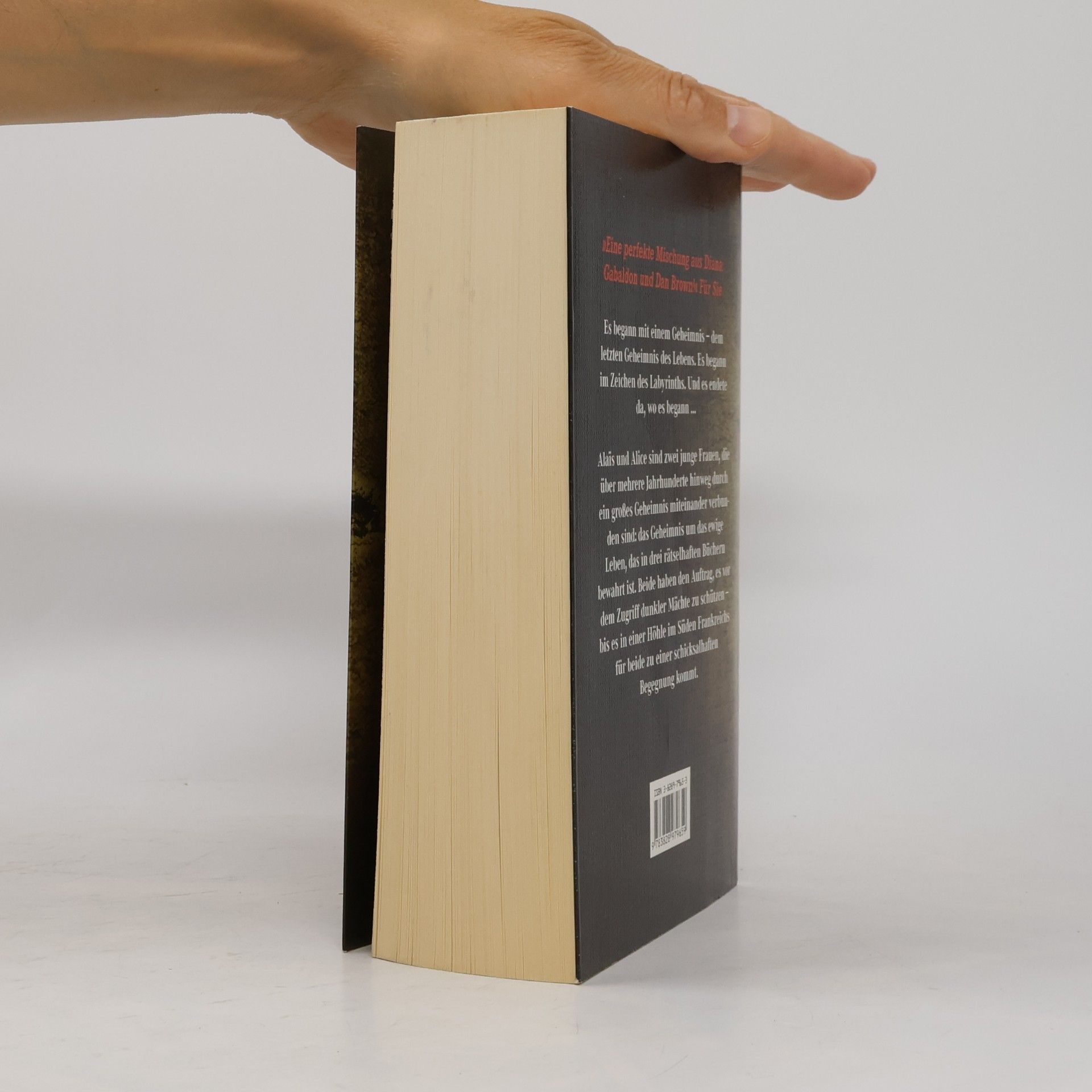 Kate Mosse Das verlorene Labyrinth