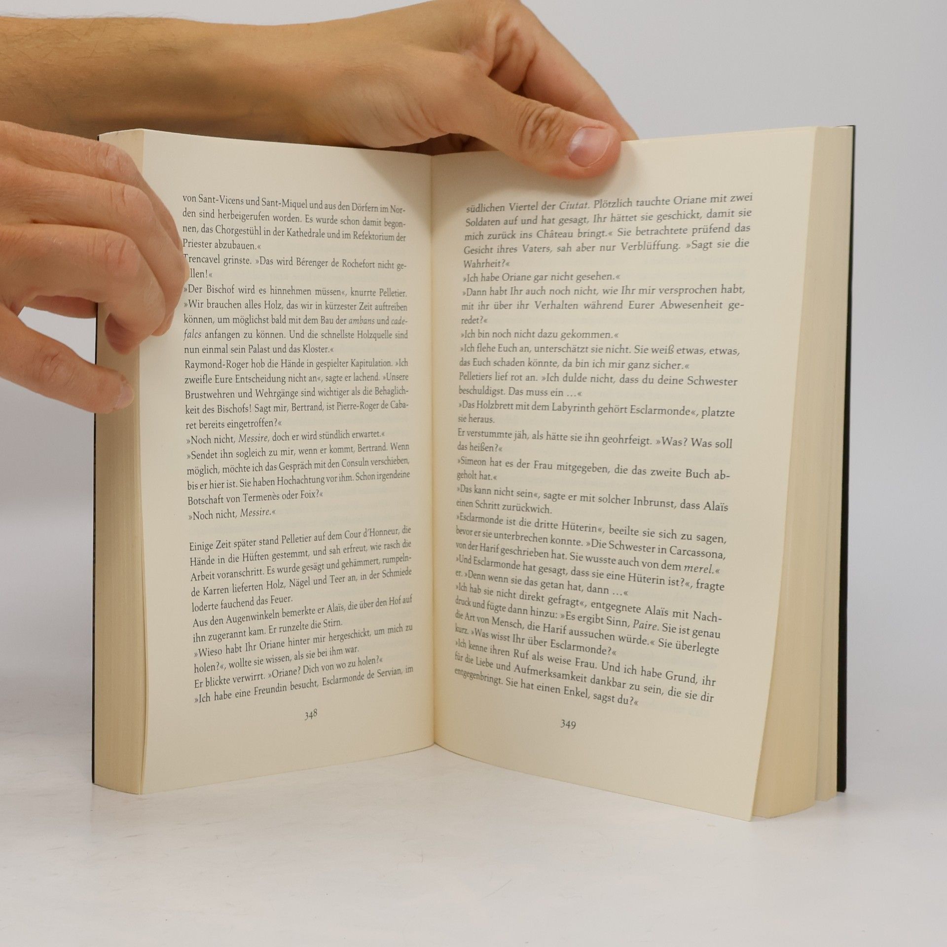 Kate Mosse Das verlorene Labyrinth