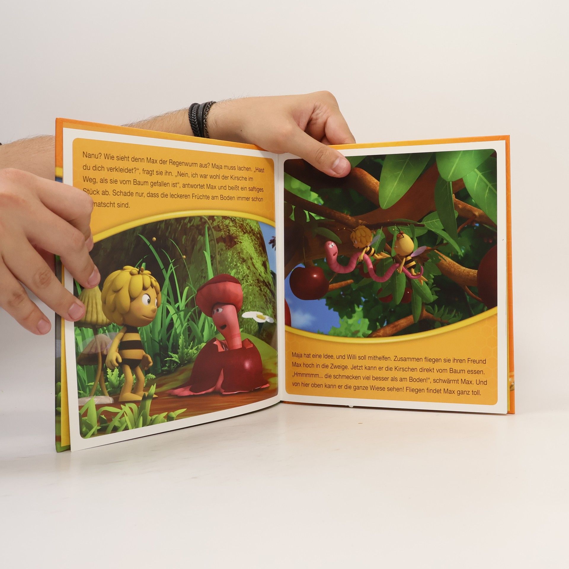 Panini Books Die Biene Maja - Max und die Vogelhochzeit