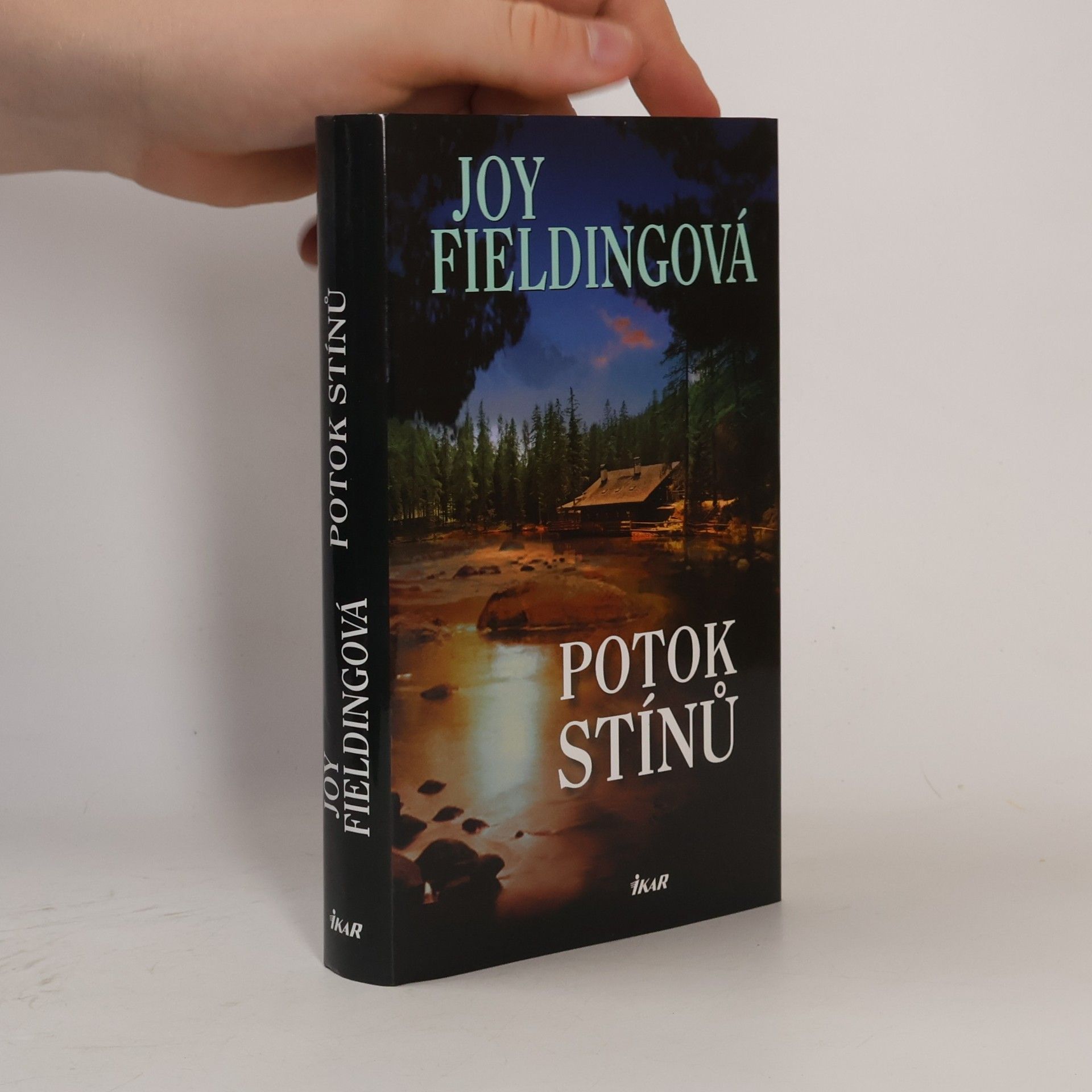 Joy Fielding Potok stínů