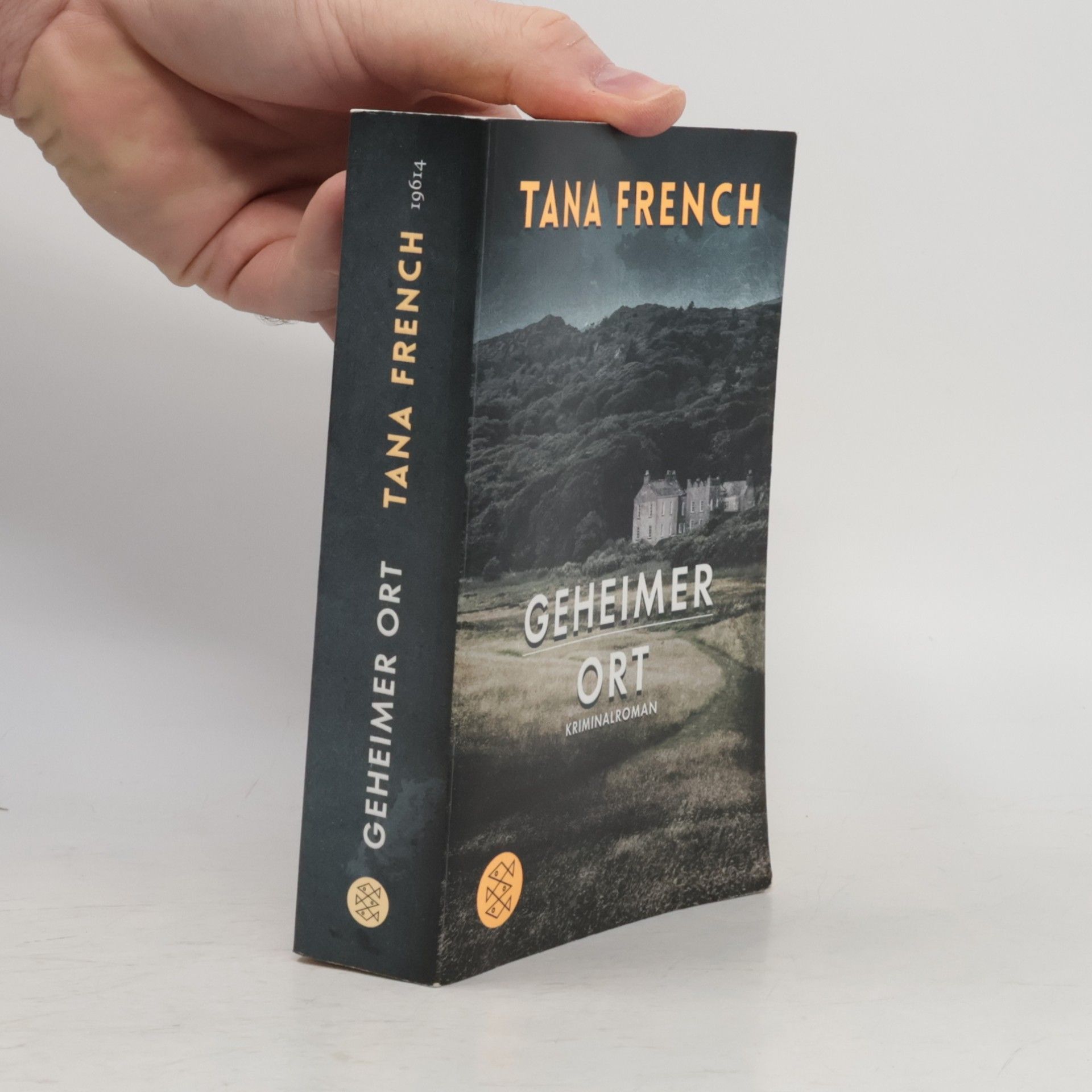 Tana French Geheimer Ort