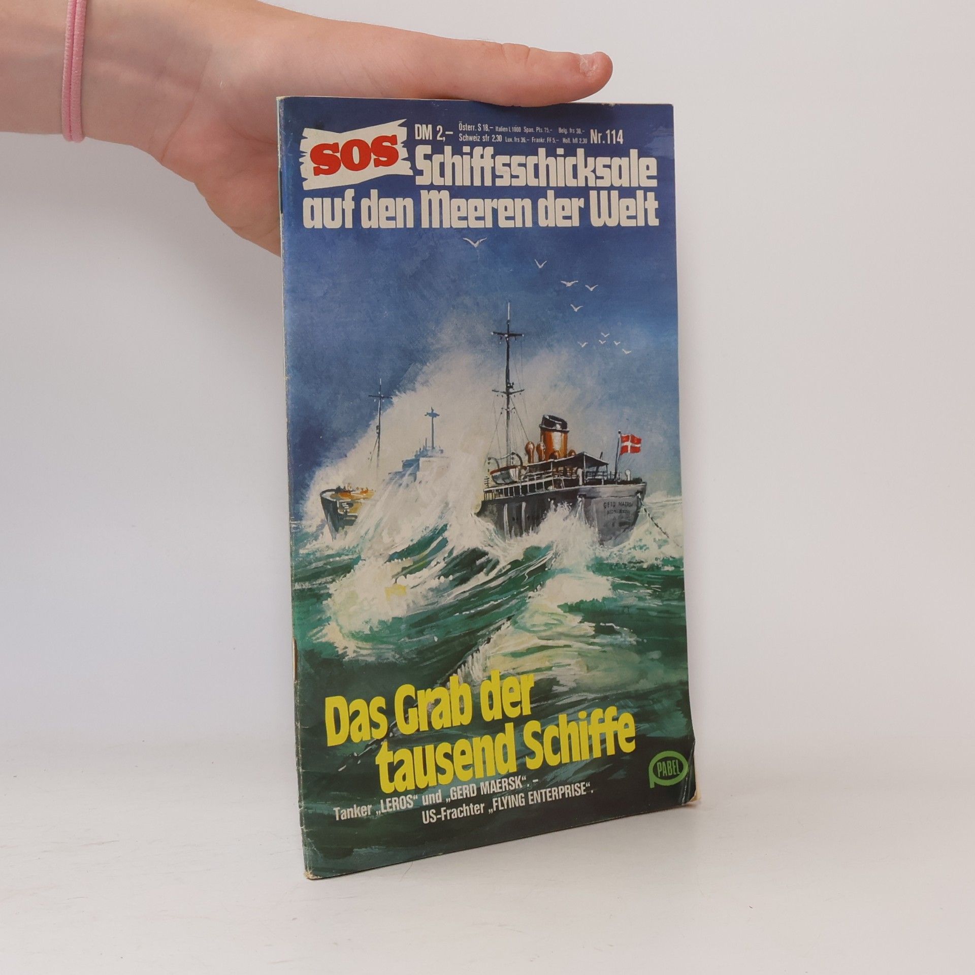 Autorenkollektiv Das Grab der tausend Schiffe