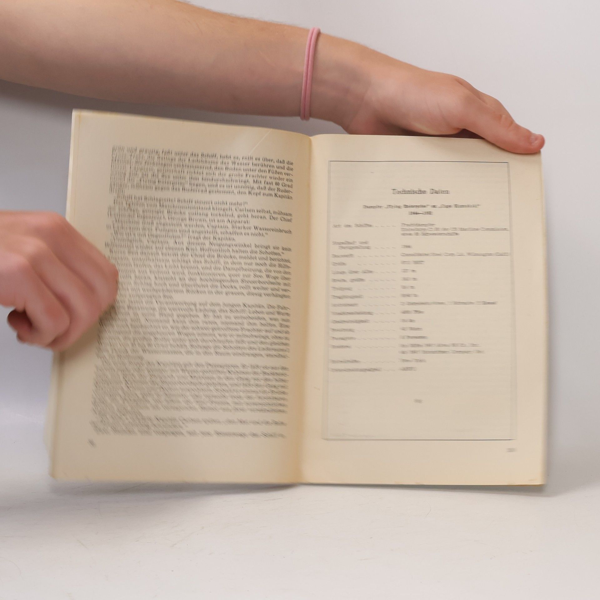 Autorenkollektiv Das Grab der tausend Schiffe