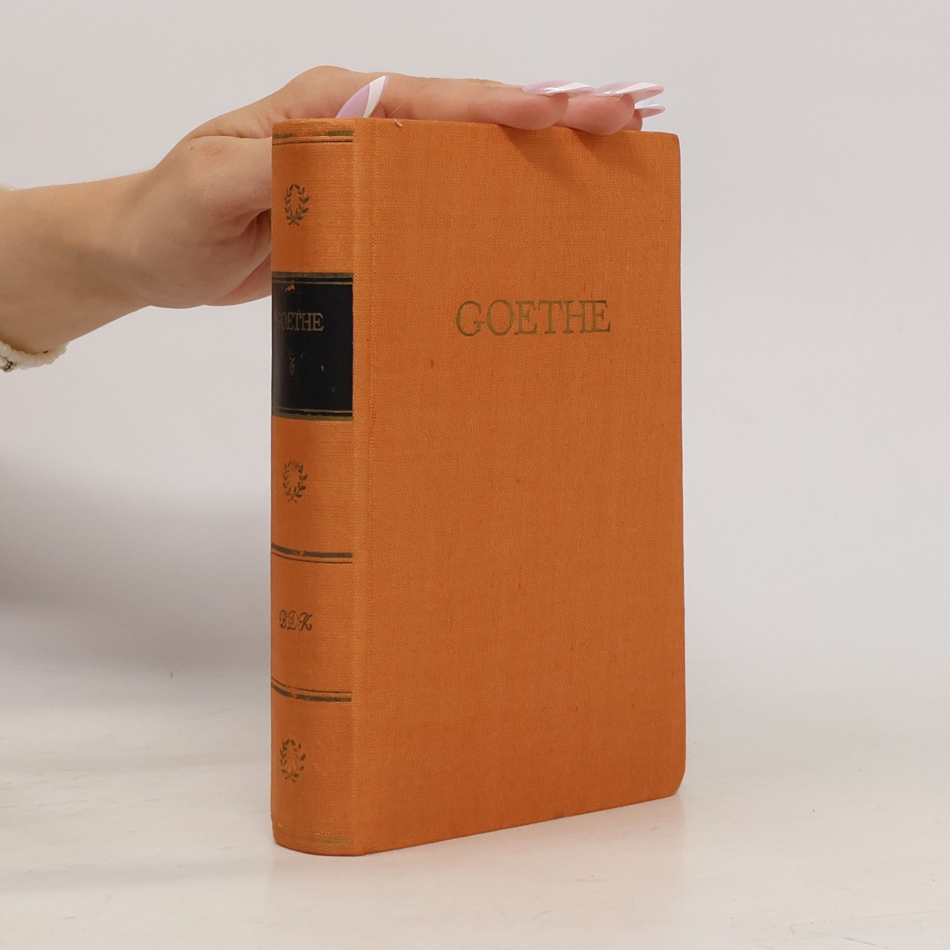Johann Wolfgang von Goethe Goethes Werke 6