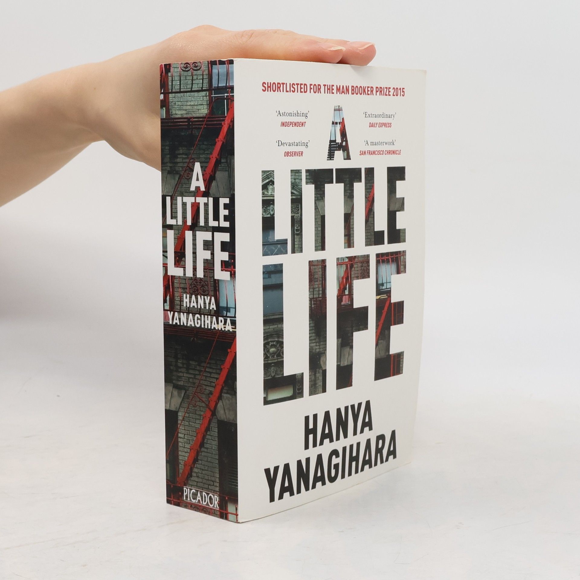 Hanya Yanagihara A Little Life