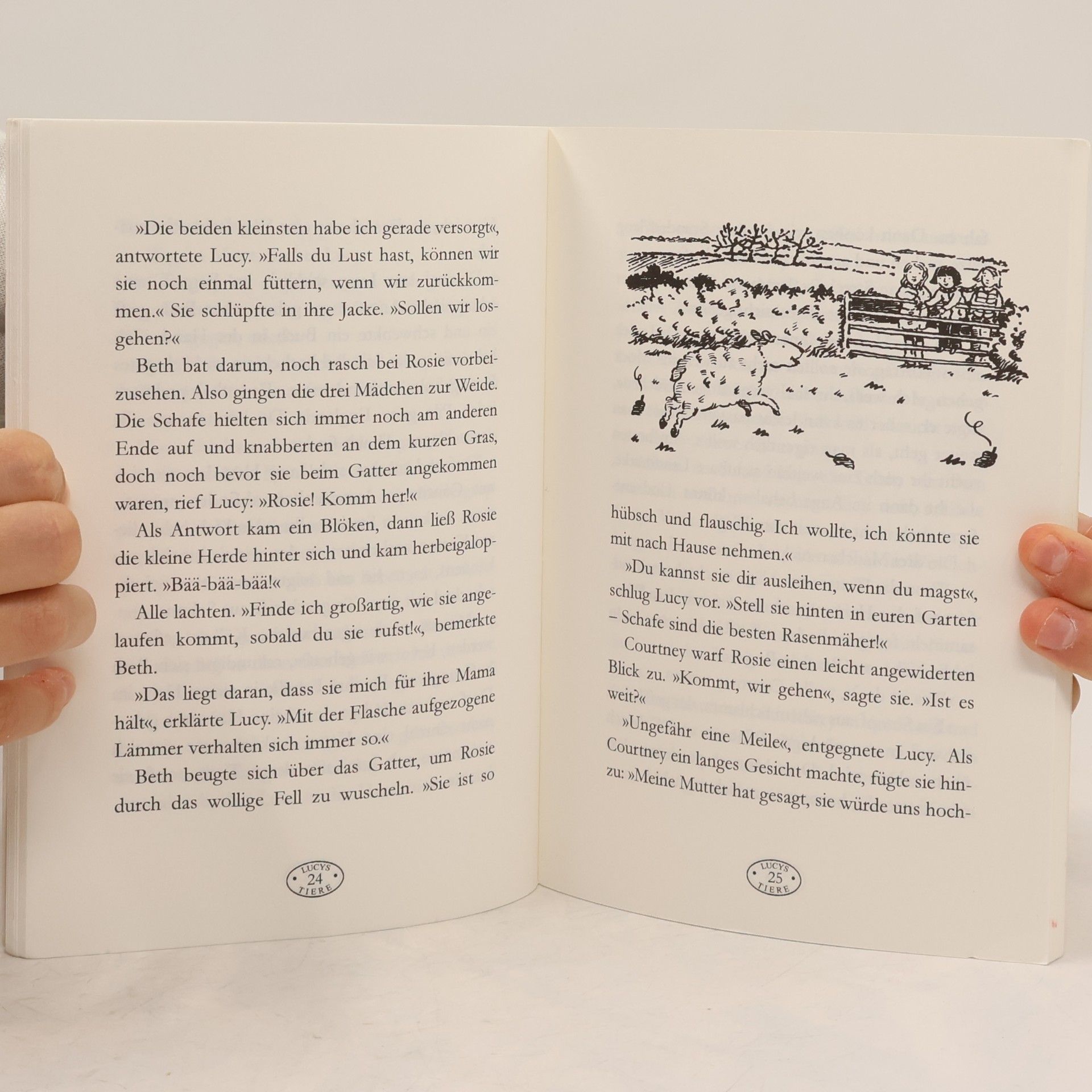 Mary Hooper Hilf mir, liebes Pony