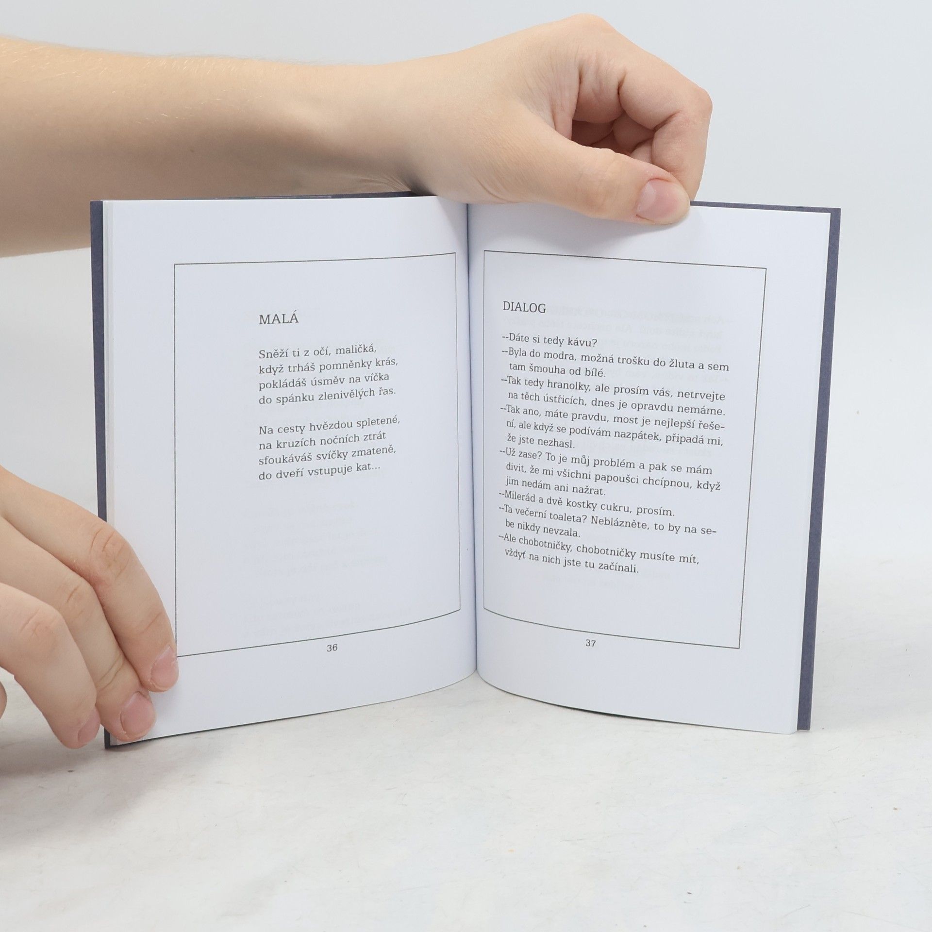 Ludvík Středa Sny na oprátce : almanach Literárního klubu