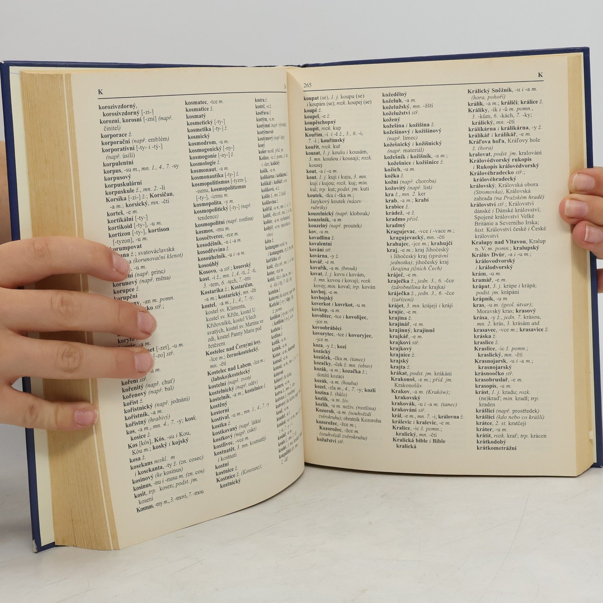Autorenkollektiv Pravidla českého pravopisu s výkladem mluvnice