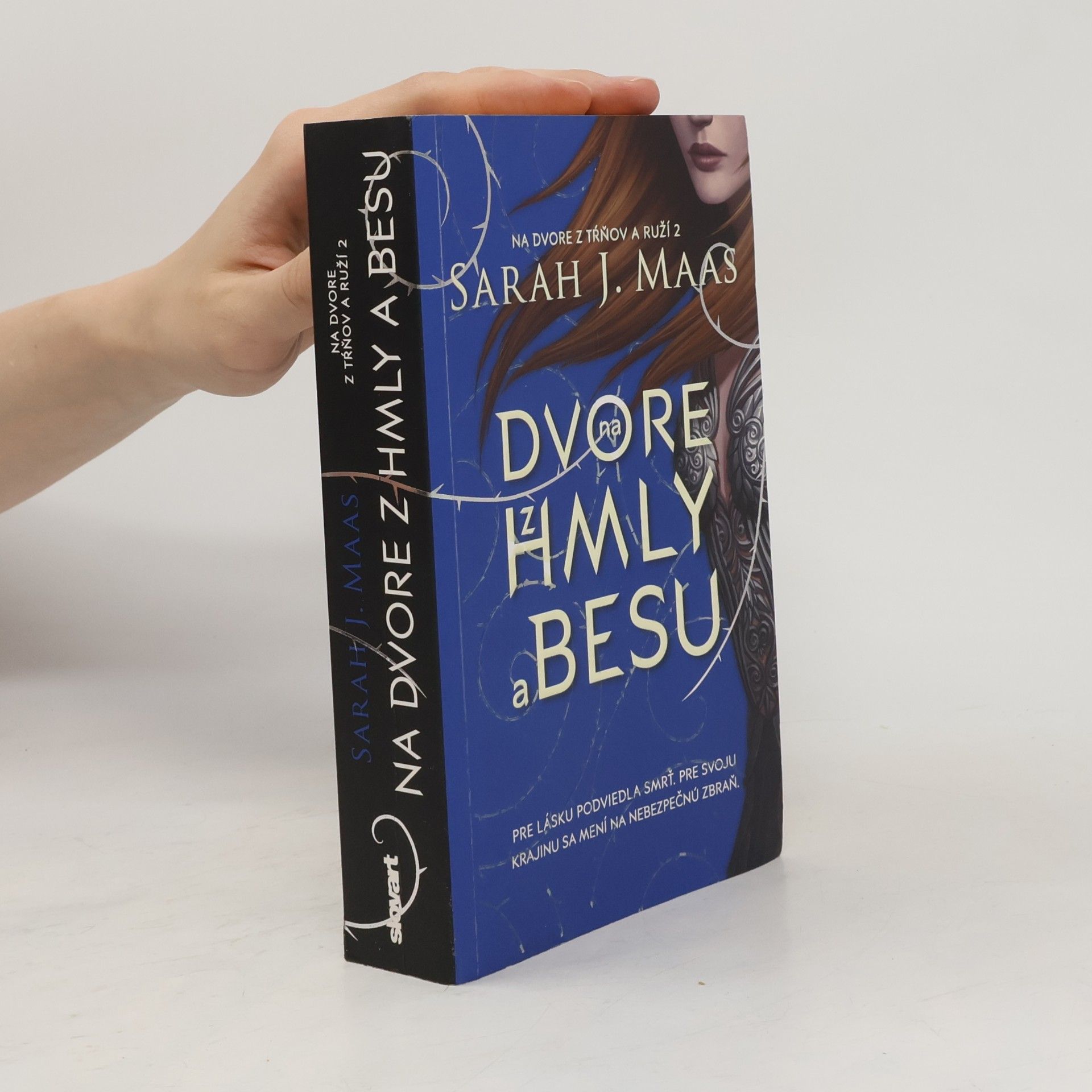 Sarah J. Maas Na dvore z hmly a besu