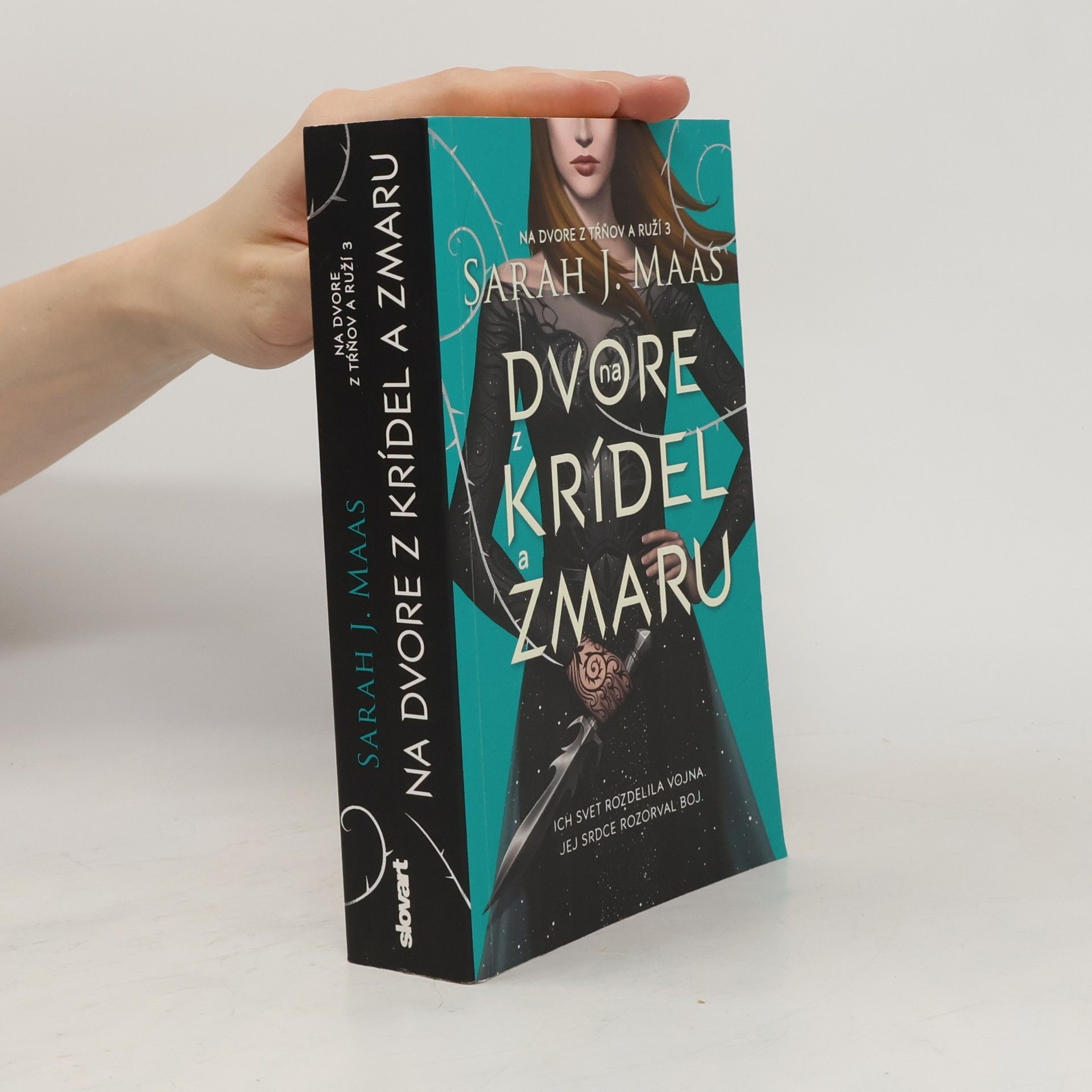 Sarah J. Maas Na dvore z krídel a zmaru