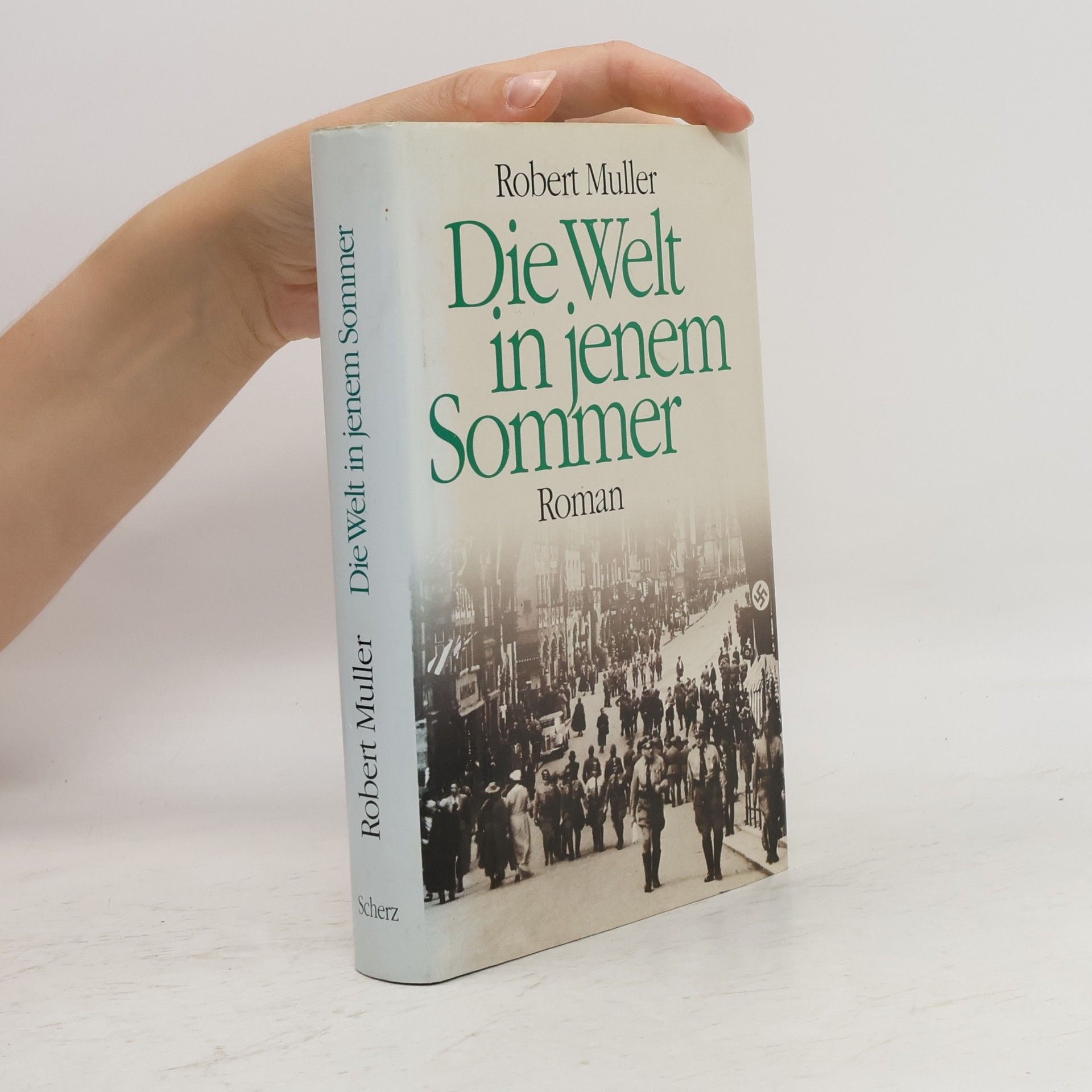 Robert Müller Die Welt in jenem Sommer