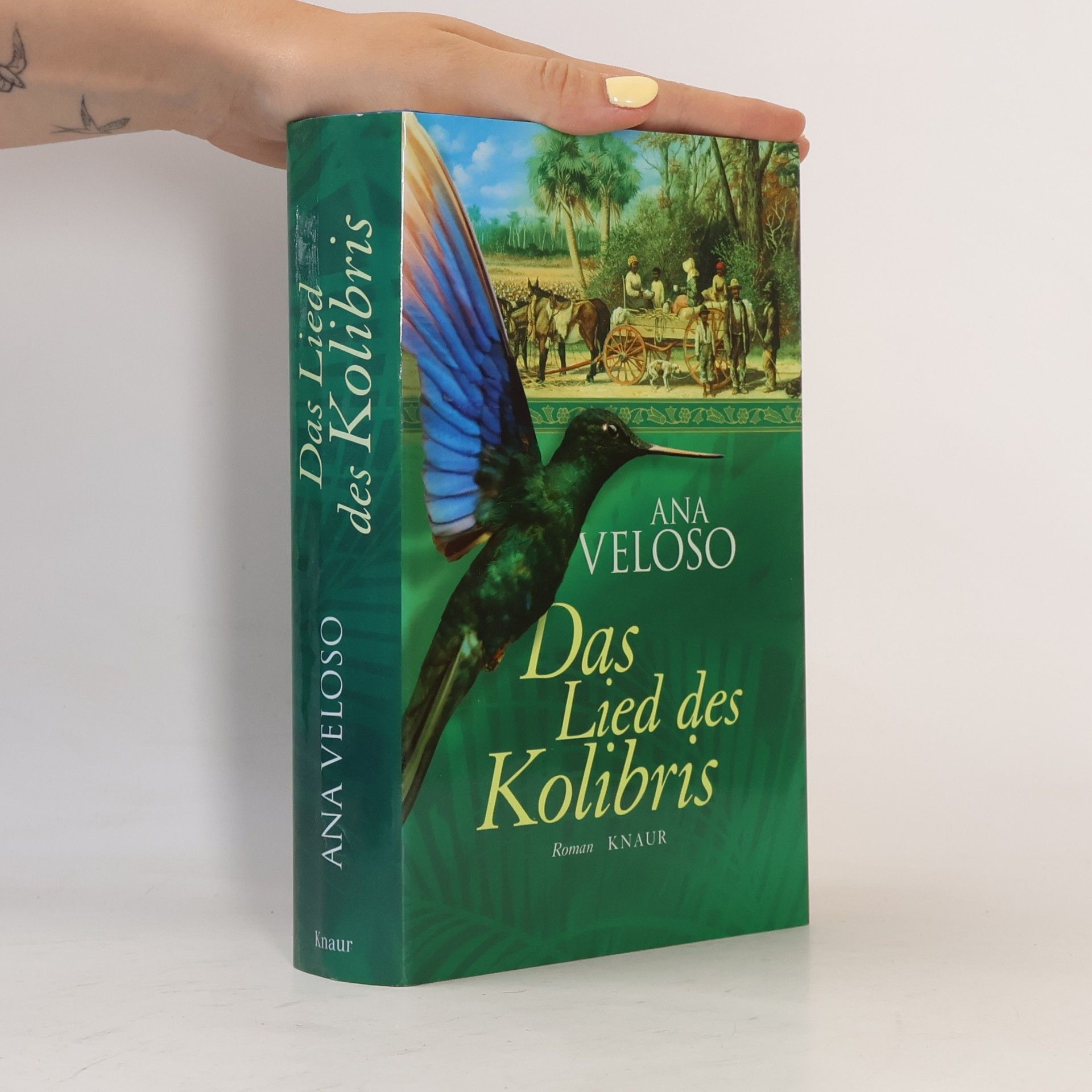 Ana Veloso Das Lied des Kolibris