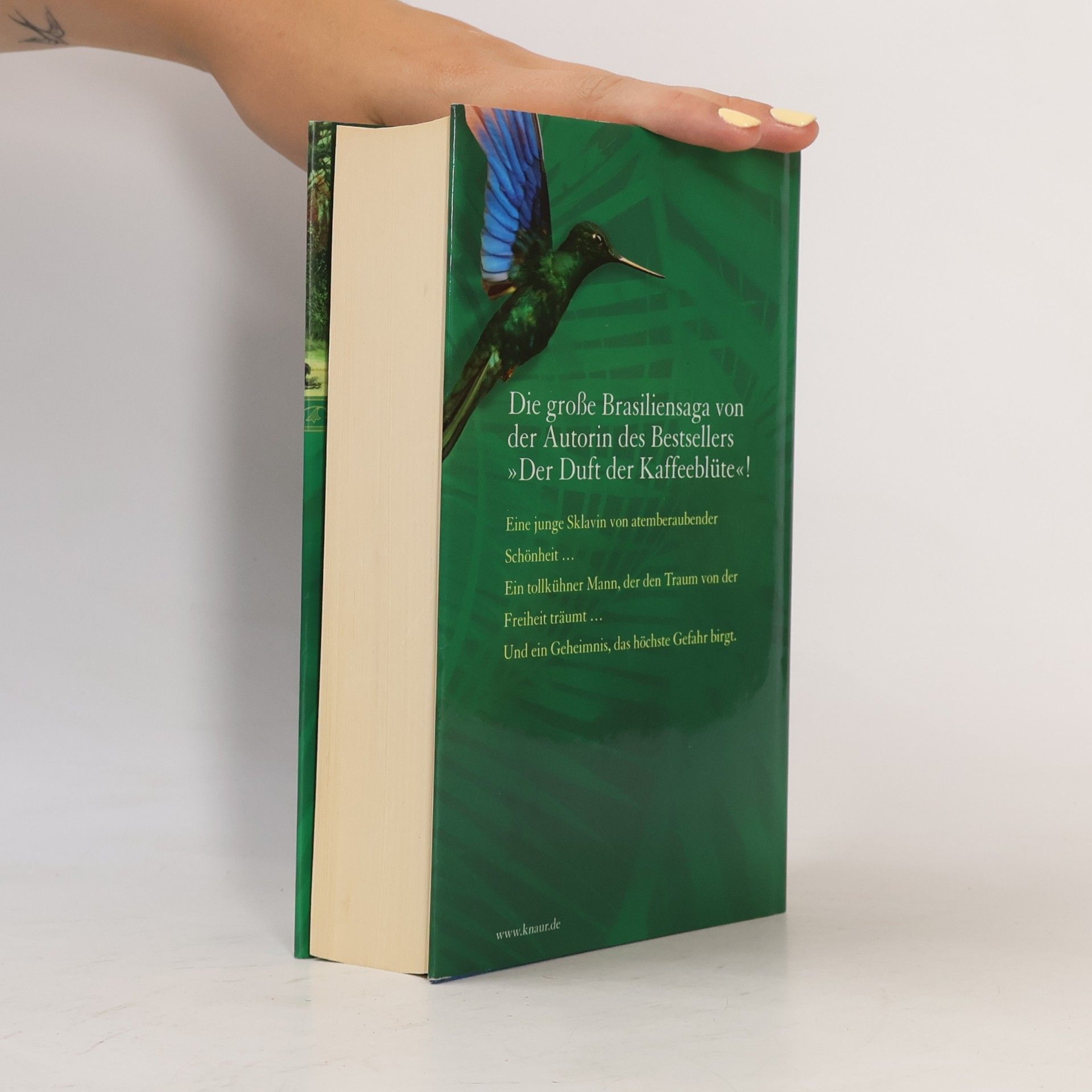 Ana Veloso Das Lied des Kolibris