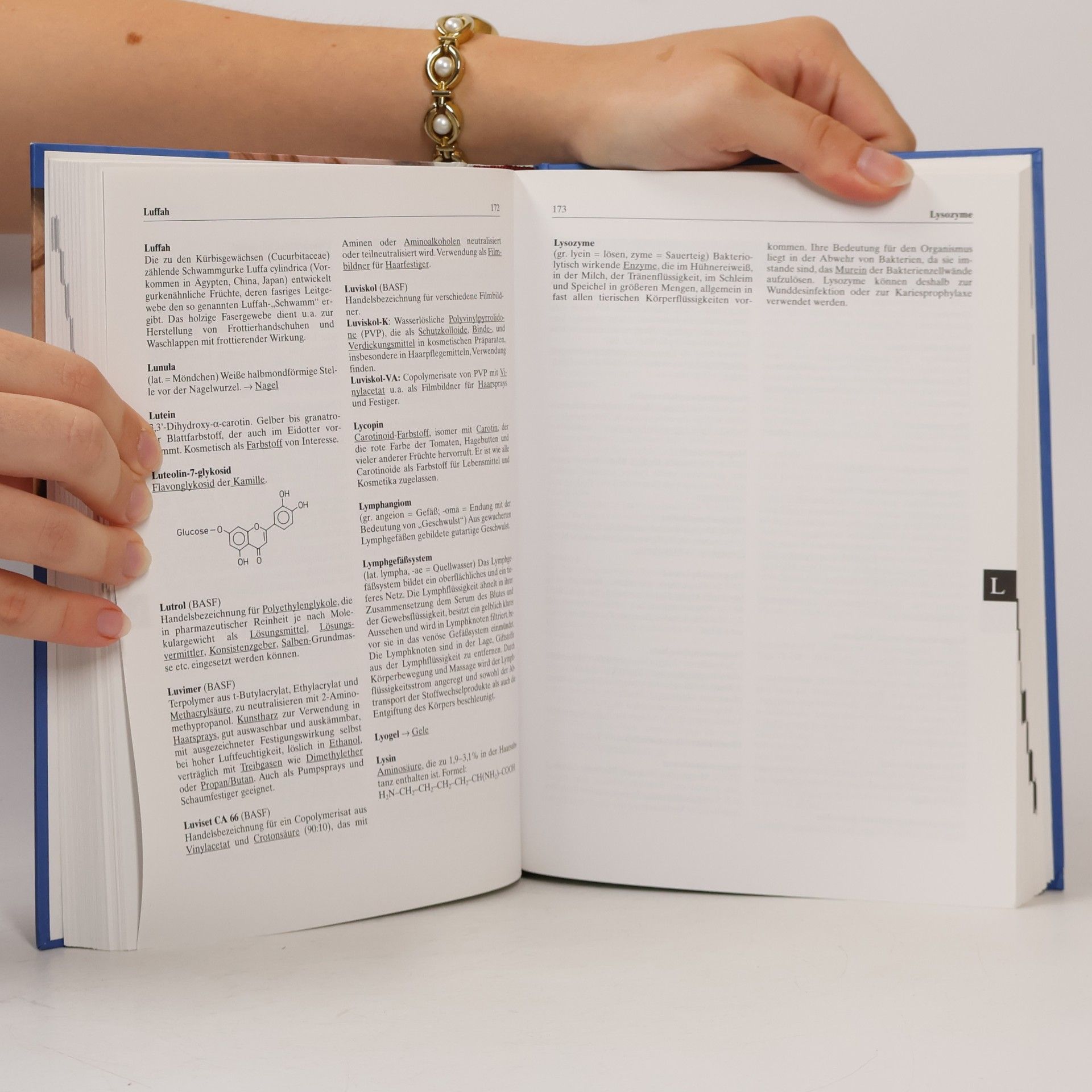 Horst Fey Wörterbuch der Kosmetik