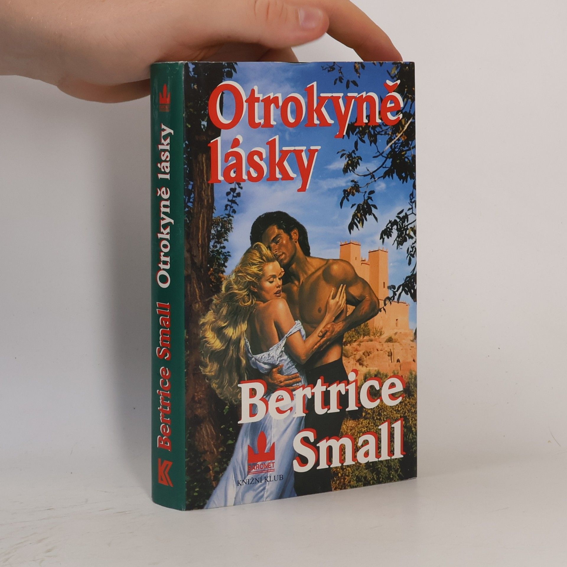 Bertrice Small Otrokyně lásky