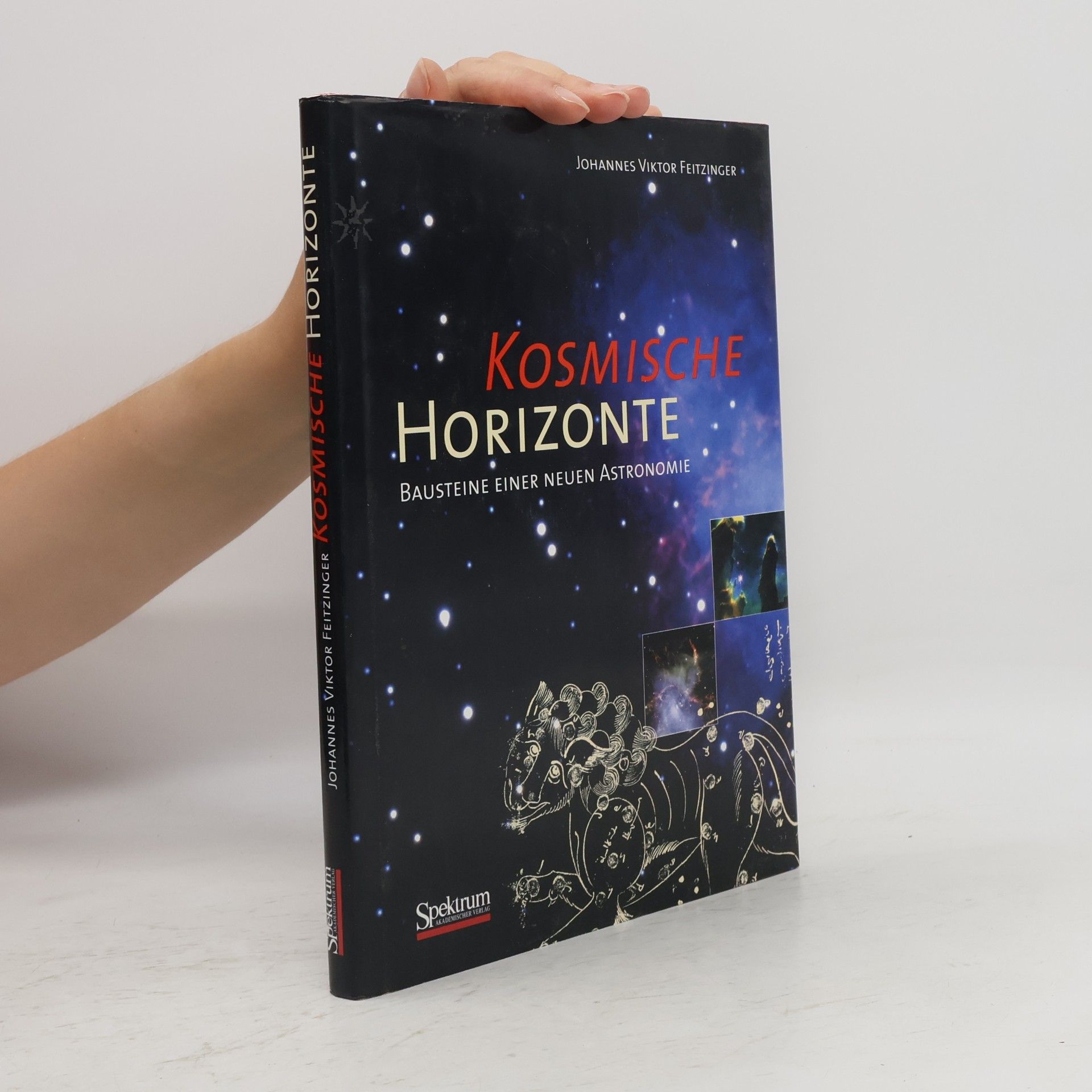 Kosmische Horizonte