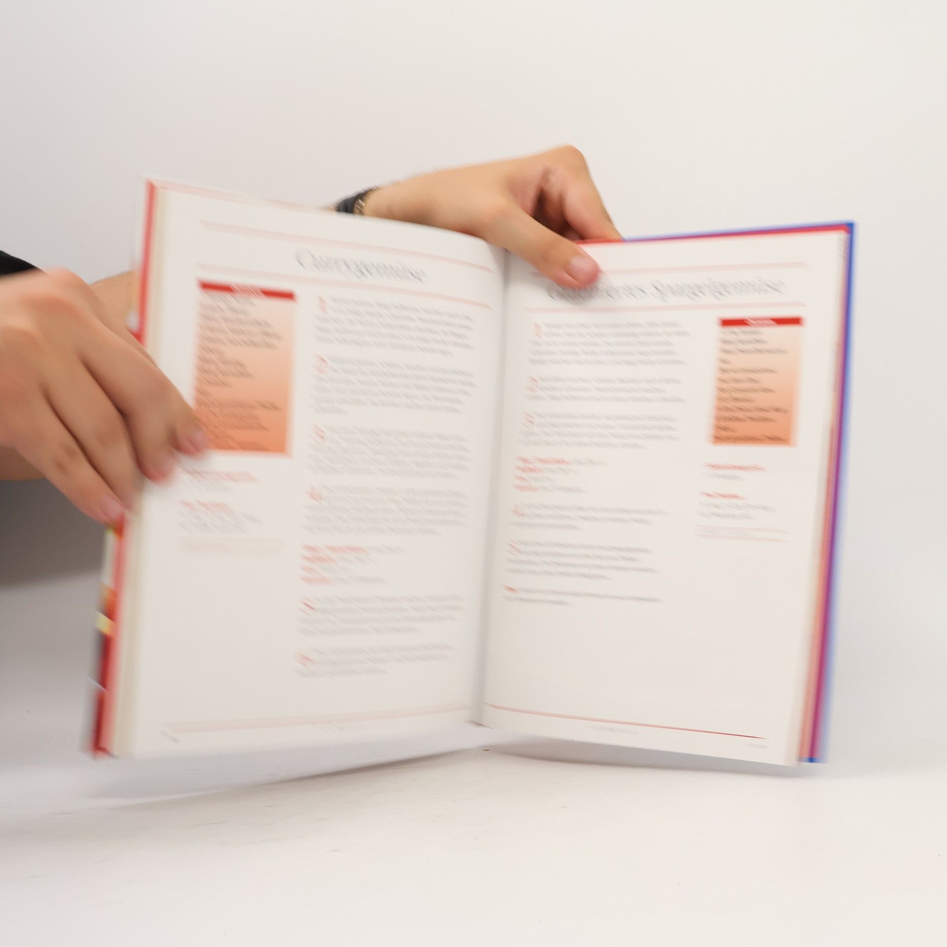 Autorenkollektiv Römertopf, Nr.2, Neue Rezepte und Ideen
