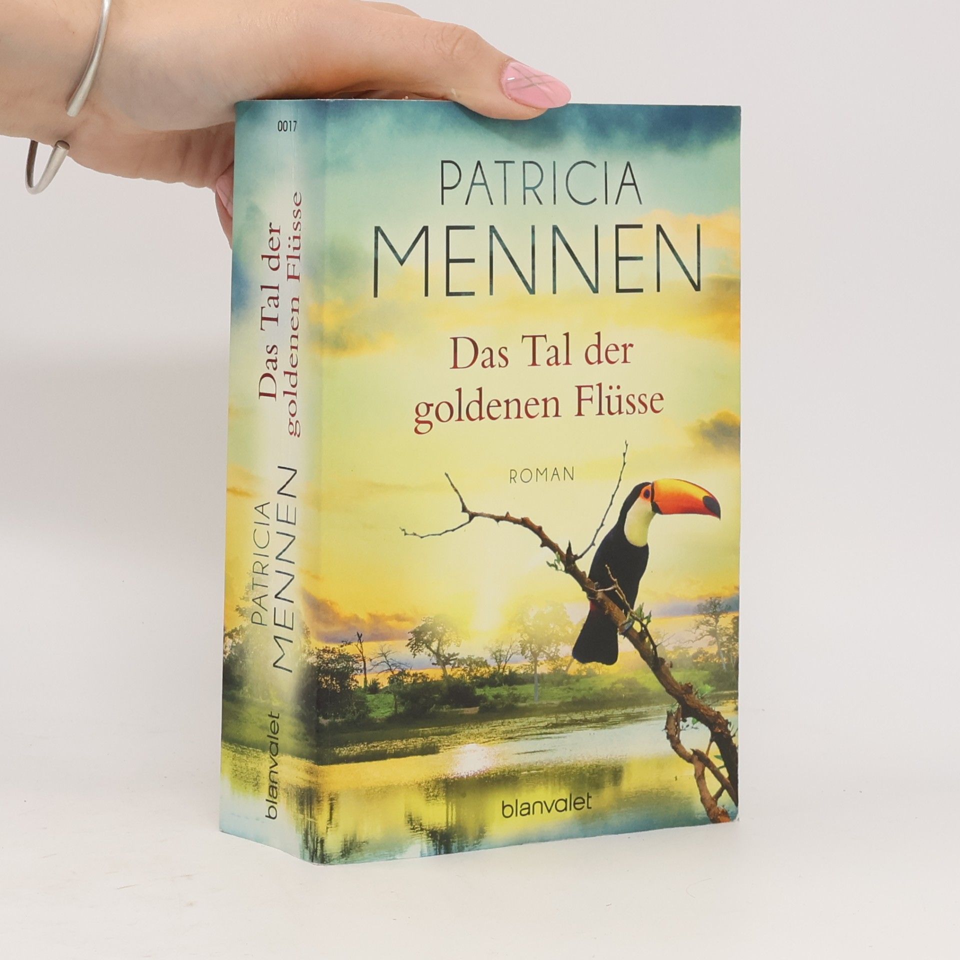 Patricia Mennen Das Tal der goldenen Flüsse