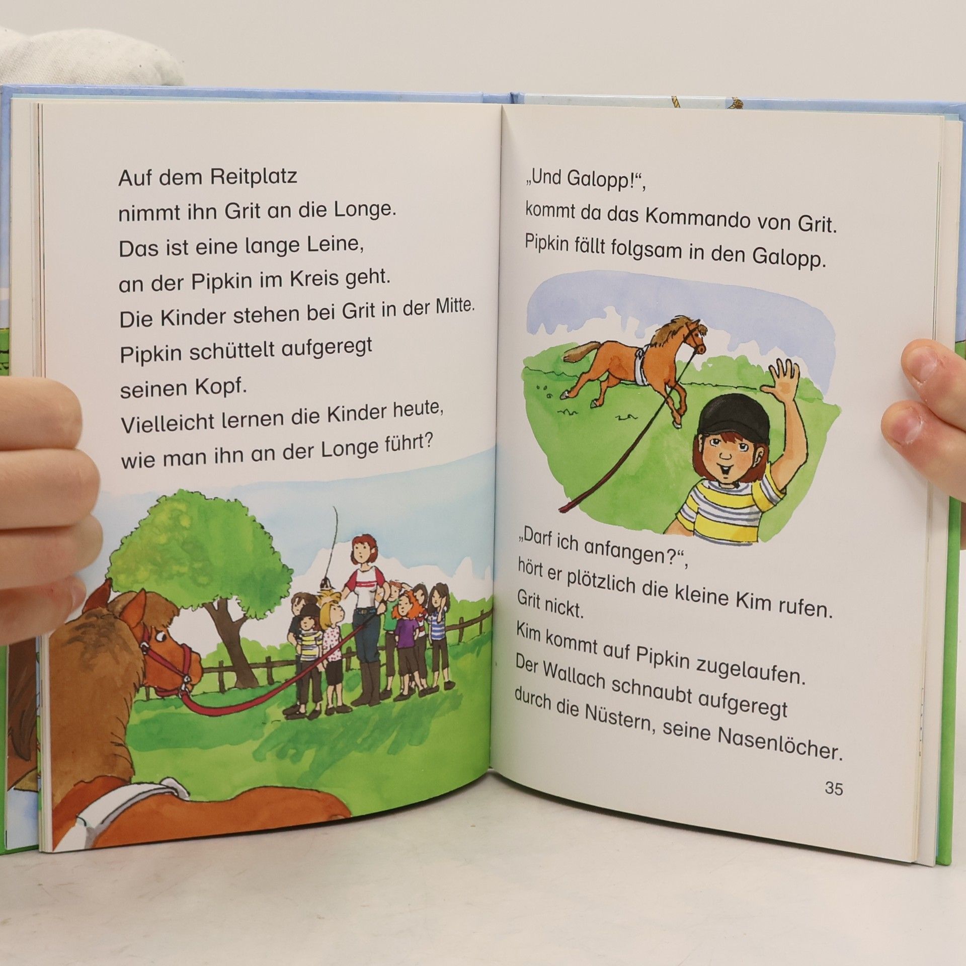Jana Frey LesePiraten-Ponyhofgeschichten