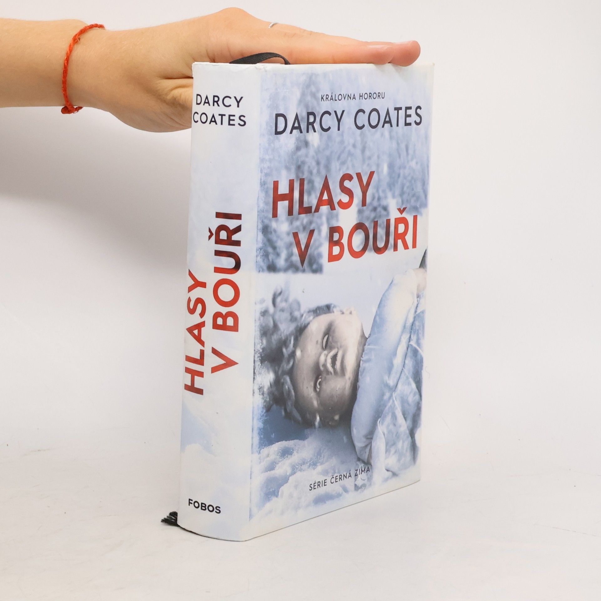 Darcy Coates Hlasy v bouři