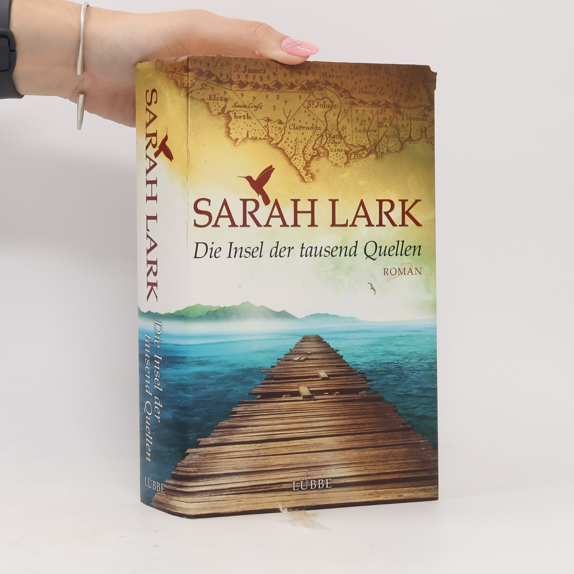 Christiane Gohl Die Insel der tausend Quellen