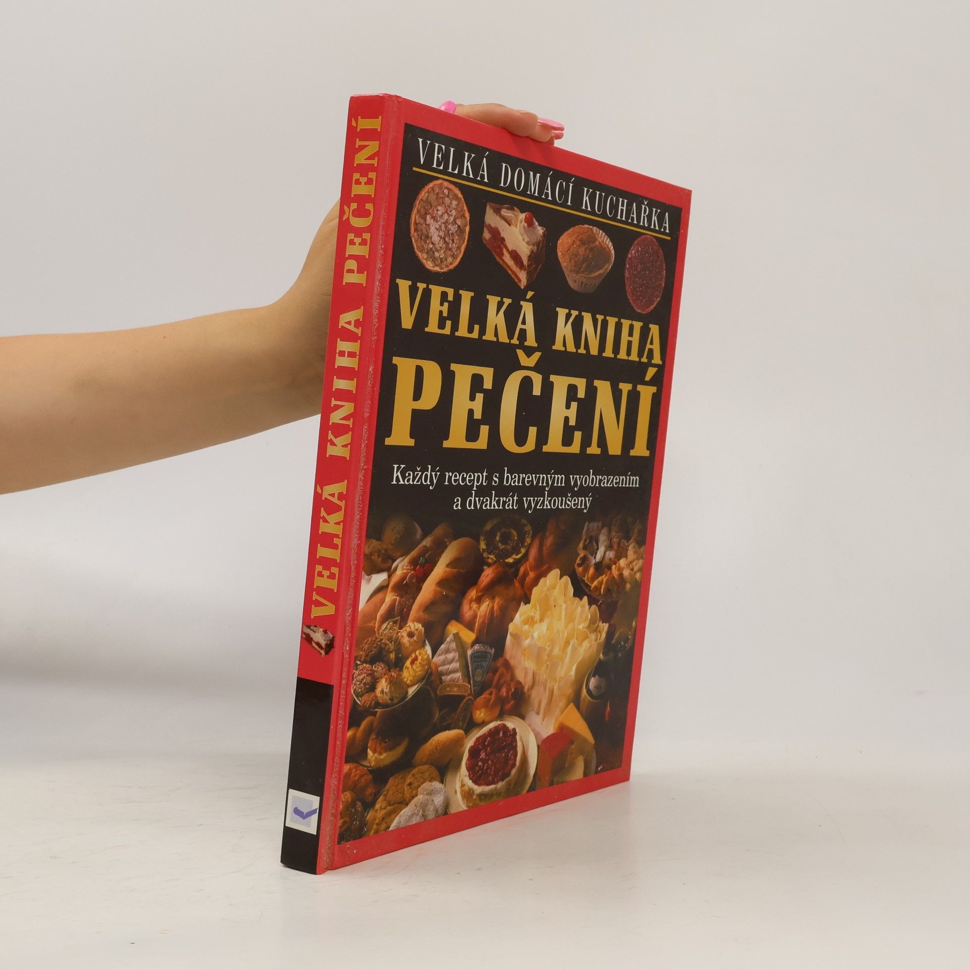 AA.VV. Velká kniha pečení