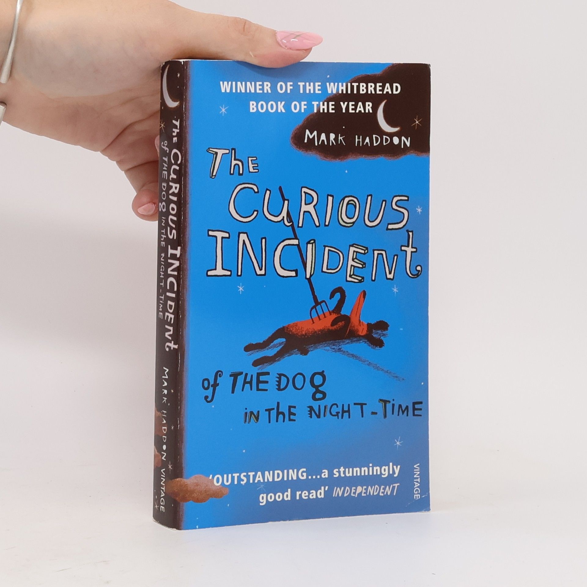 Mark Haddon The Curious Incident of The Dog in The Night-Time