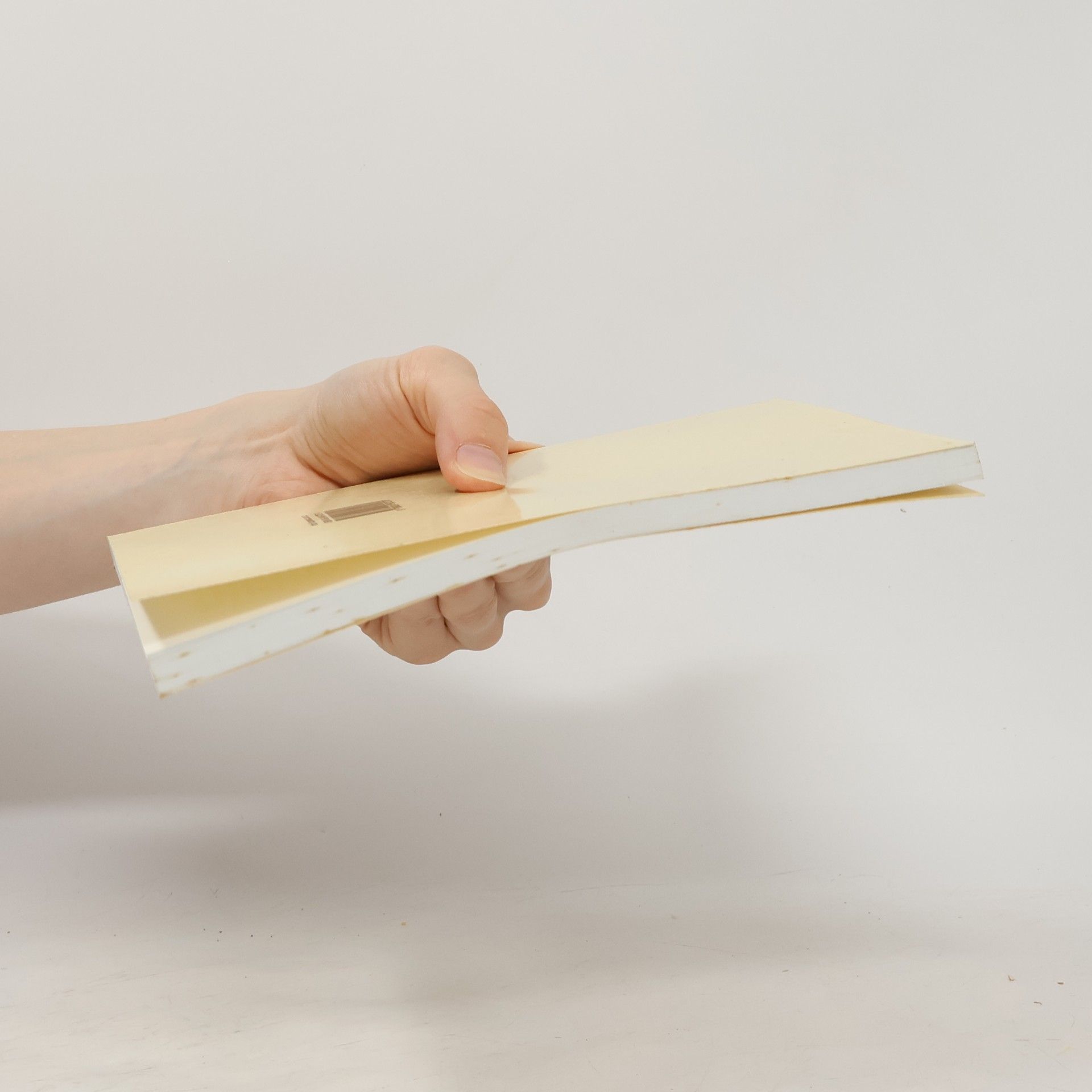 Rudolf Vlasák Základy projektování informačních systémů
