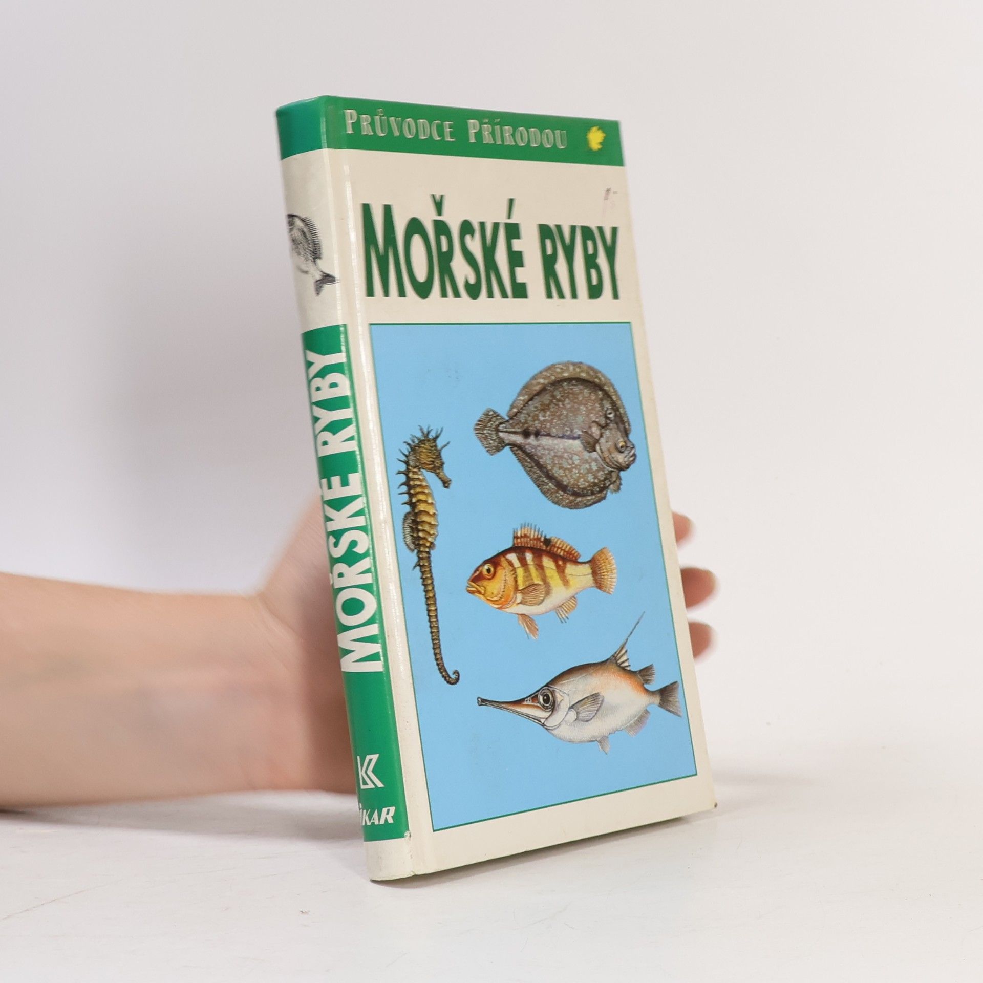 Friedhelm Sauer Mořské ryby v evropských vodách