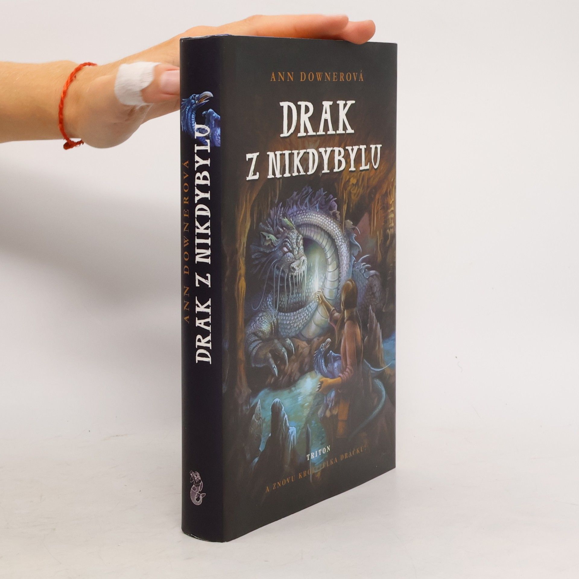 Ann Downer Drak z Nikdybylu