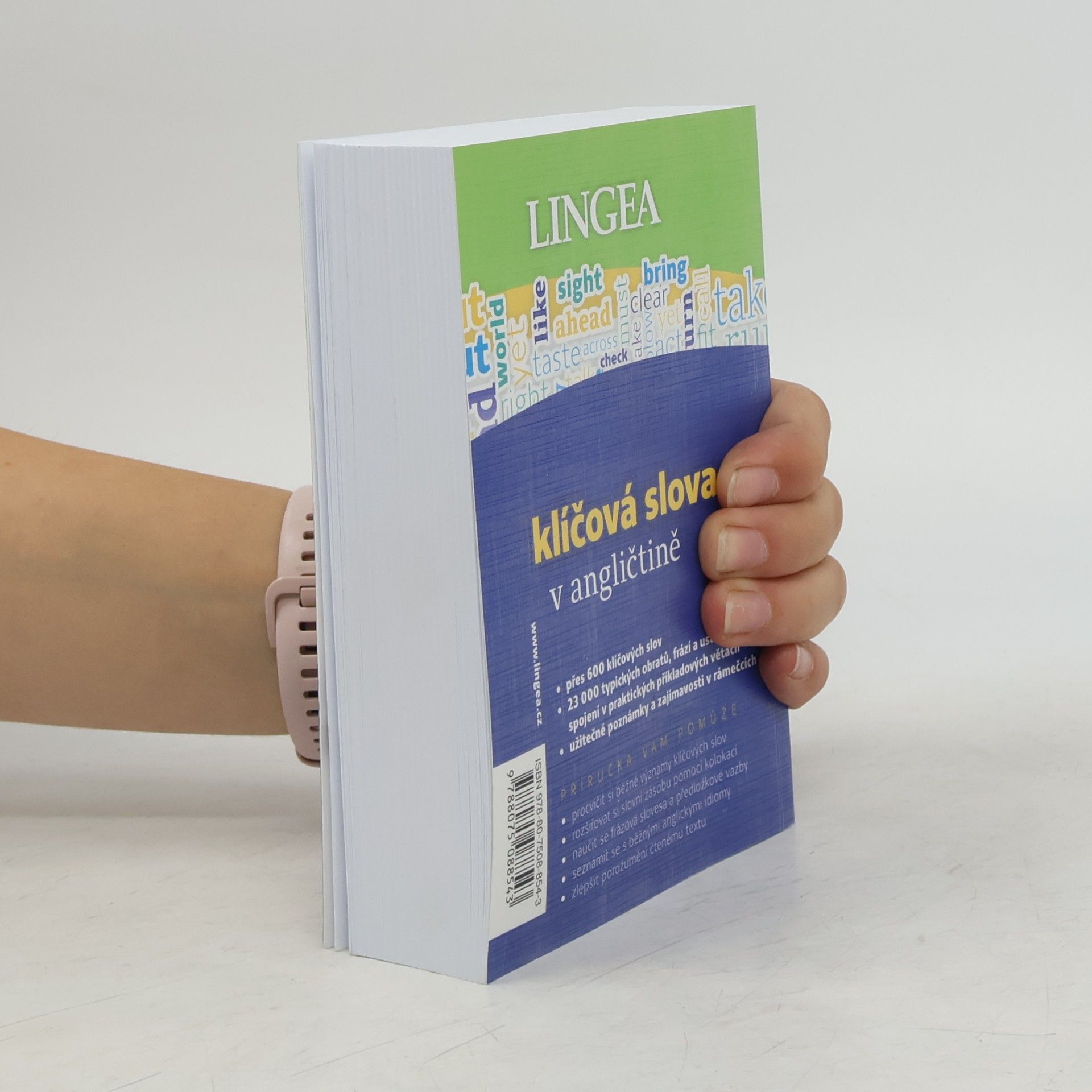 Kolektiv autorů Klíčová slova v angličtině