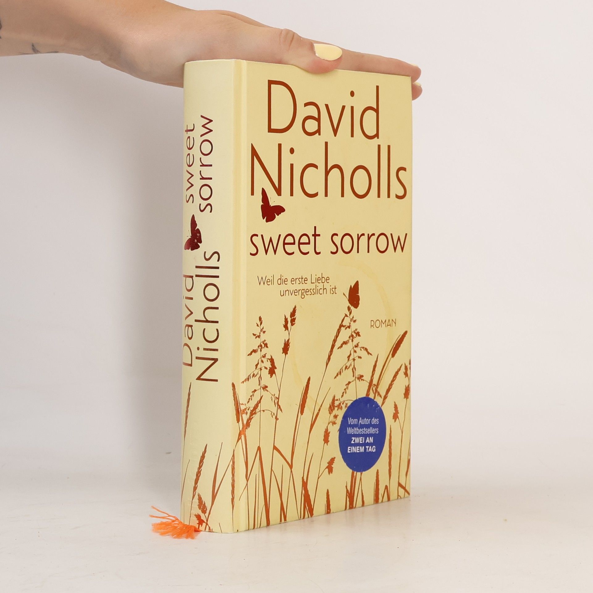 David Nicholls Sweet Sorrow