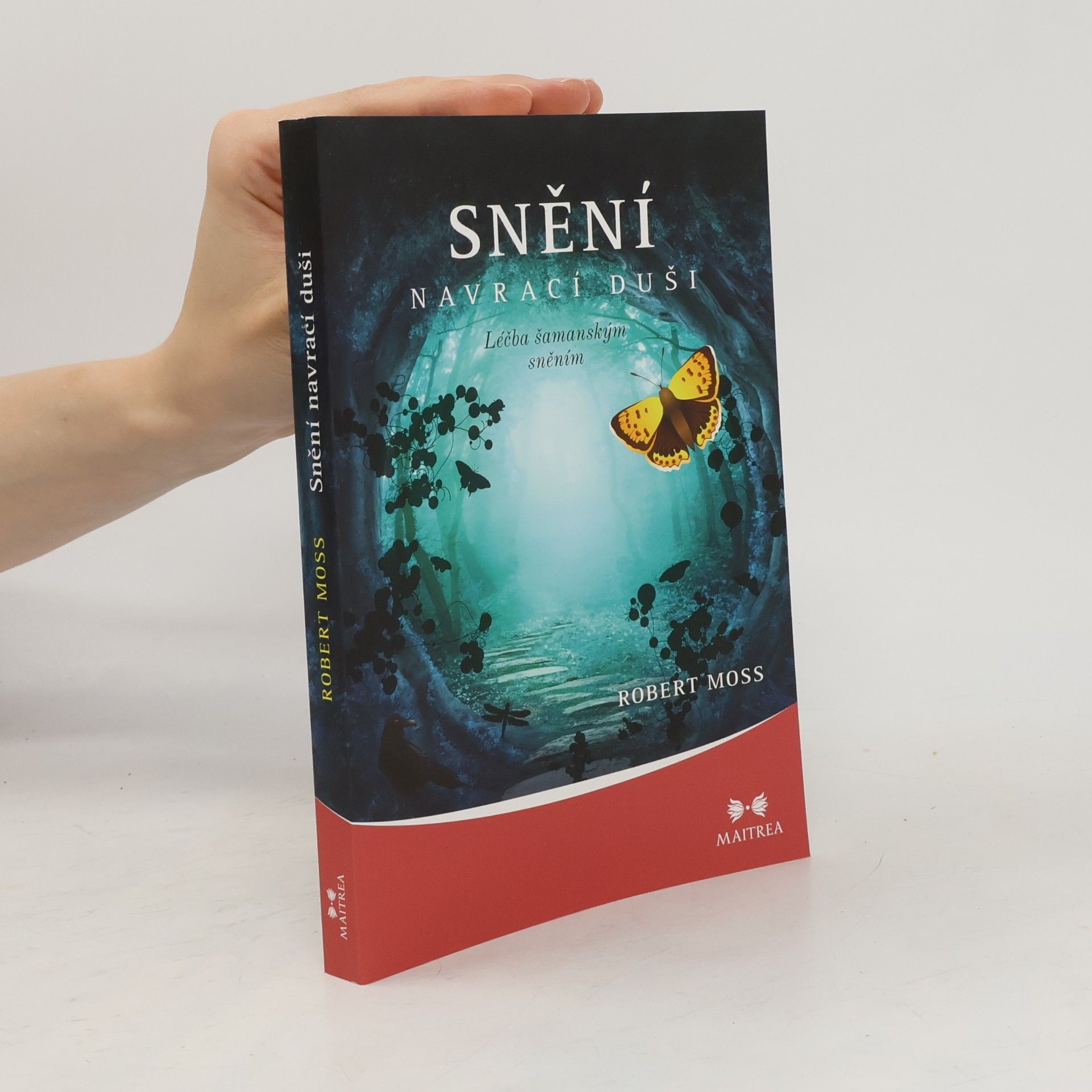 Robert Moss Snění navrací duši. Léčba šamanským sněním